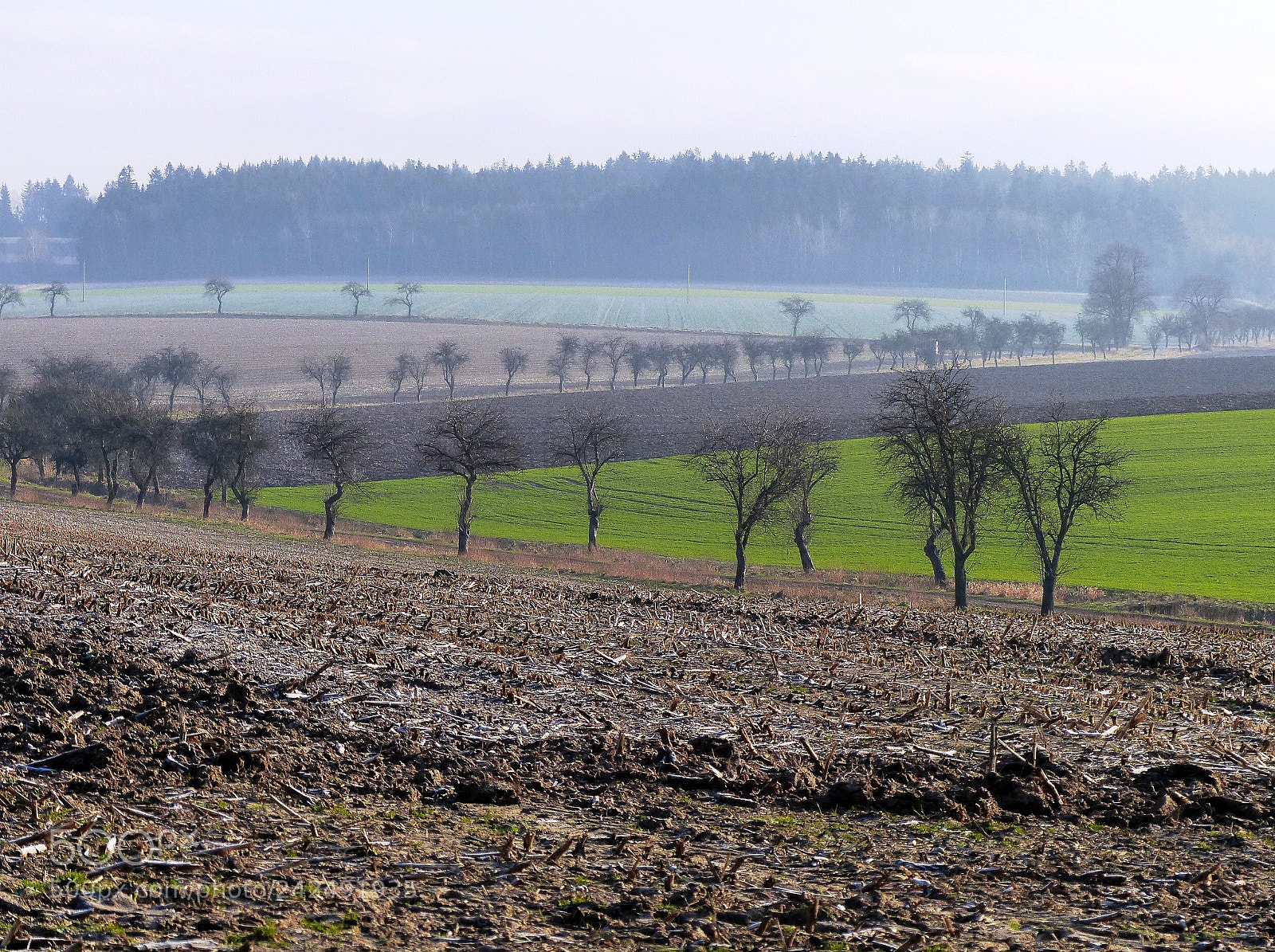 Panasonic Lumix DMC-FZ200 sample photo. Fields photography
