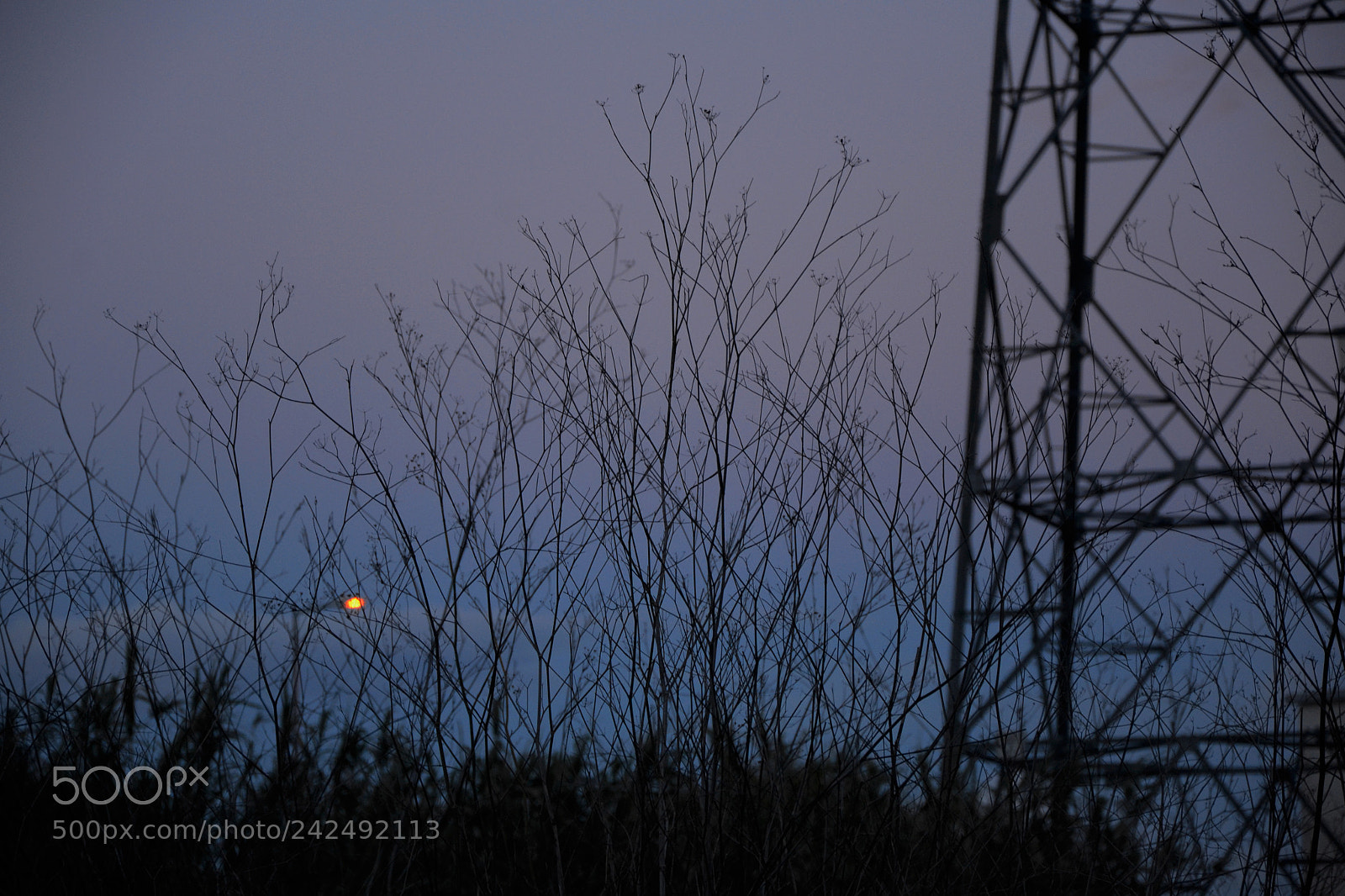 Nikon D3100 sample photo. .summerdawn01 photography