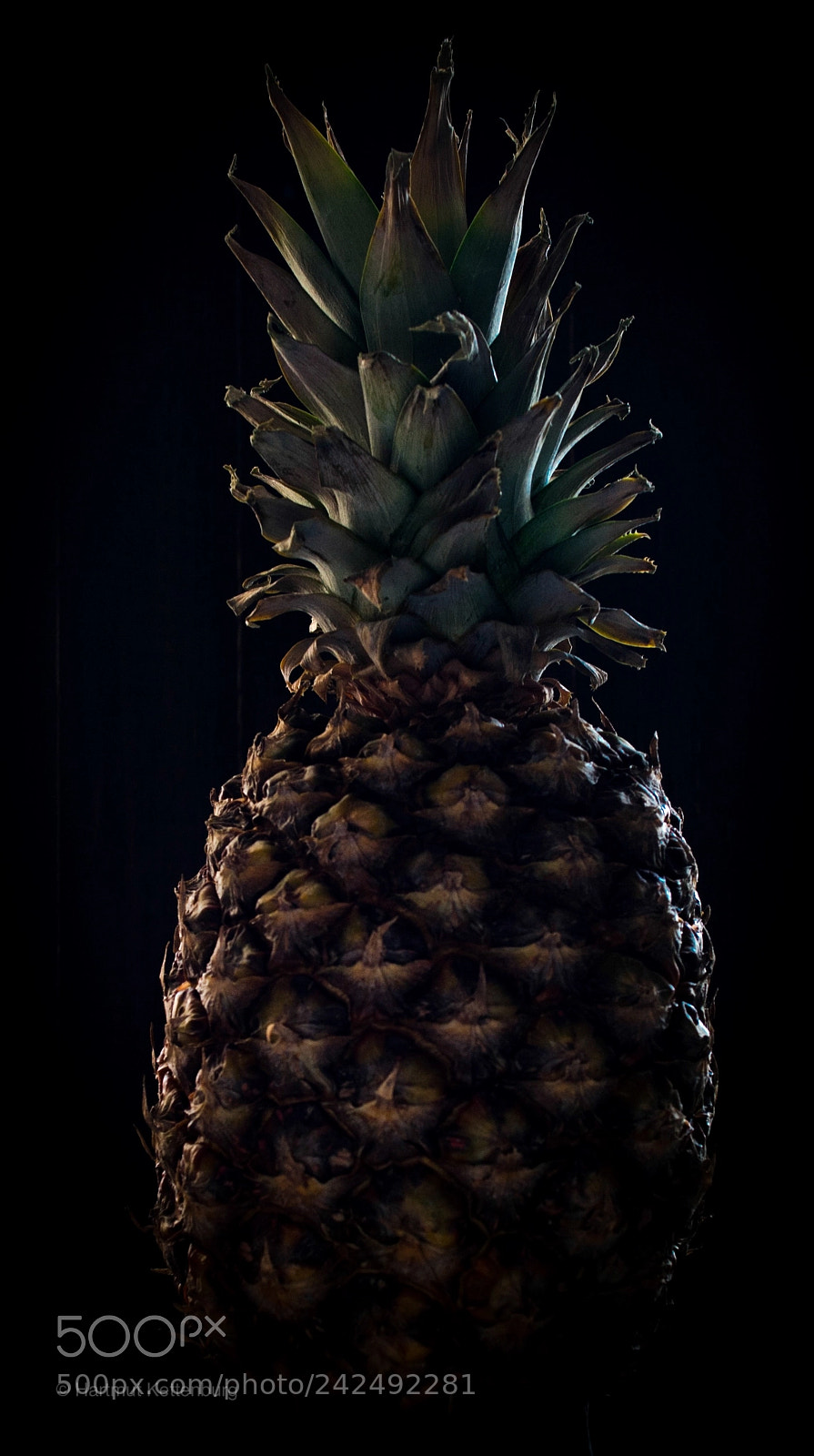 Nikon D800E sample photo. Ananas oder so photography