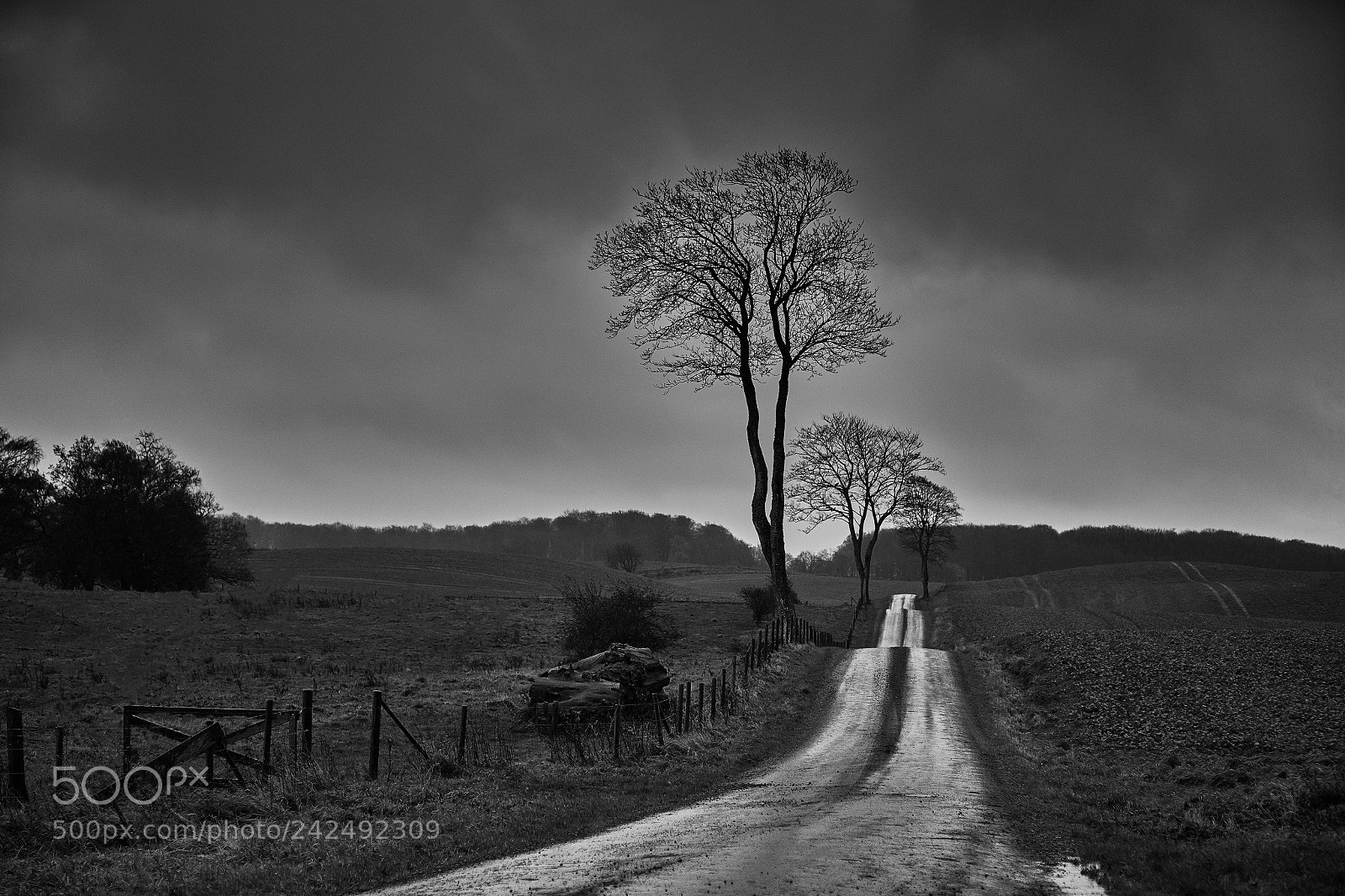 Canon EOS 5DS R sample photo. Natural road lights photography