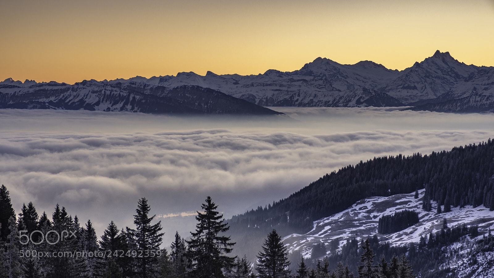 Fujifilm X-T2 sample photo. Sea of mist photography
