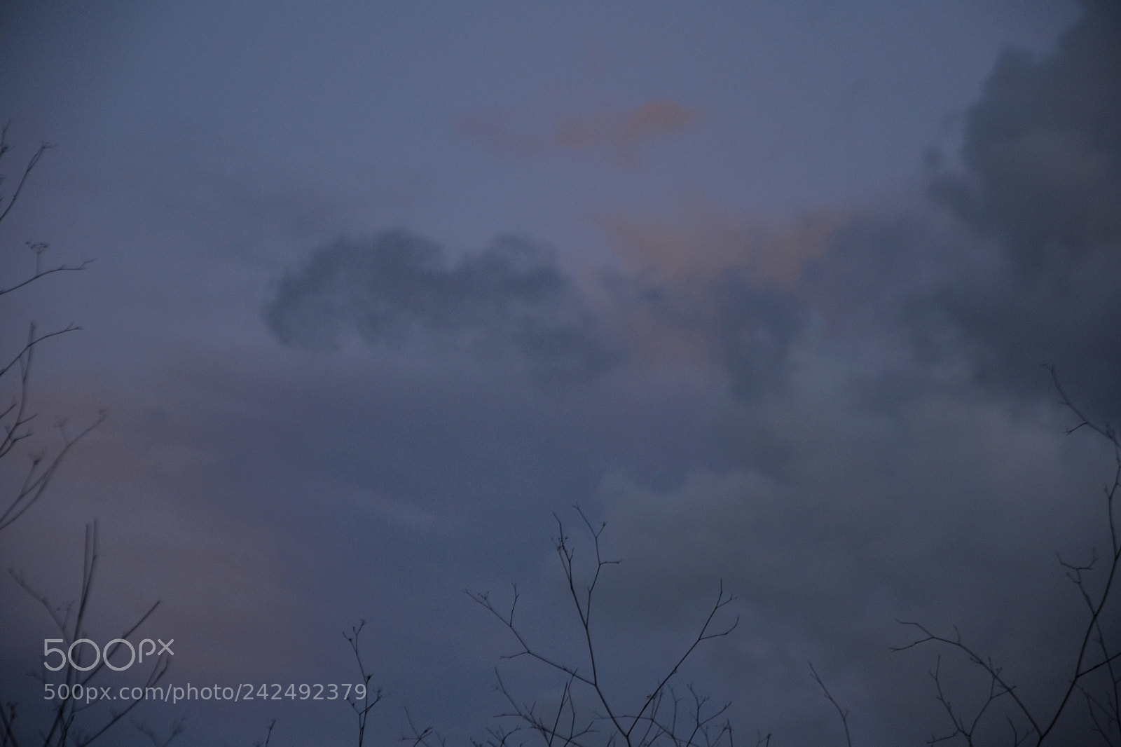 Nikon D3100 sample photo. .summerdawn02 photography