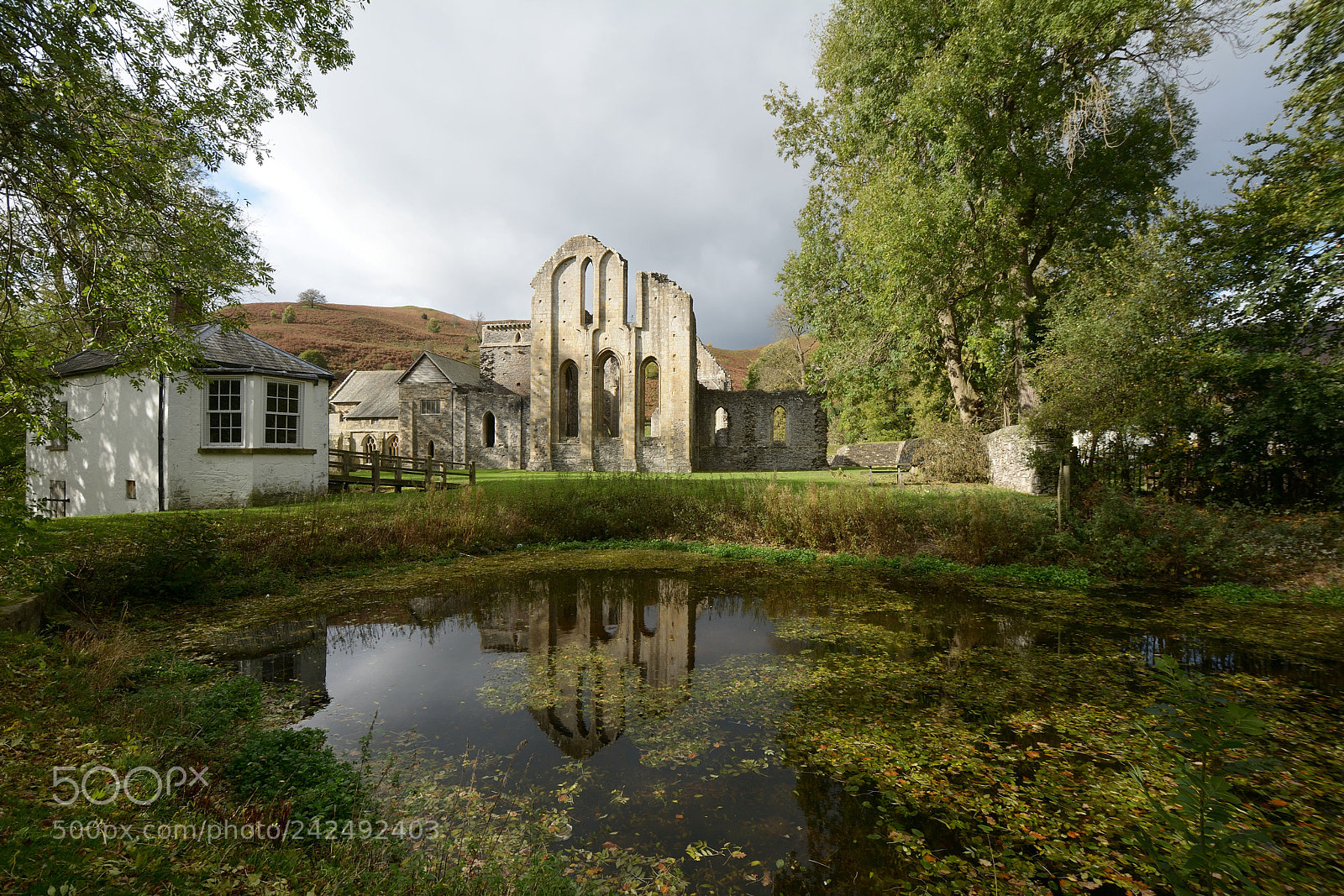 Nikon D7100 sample photo. Valle crucis abbey photography