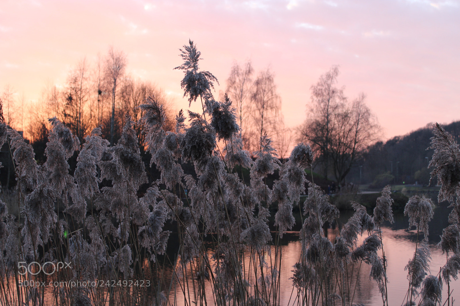 Canon EOS 1300D (EOS Rebel T6 / EOS Kiss X80) sample photo. Belgian sunset photography