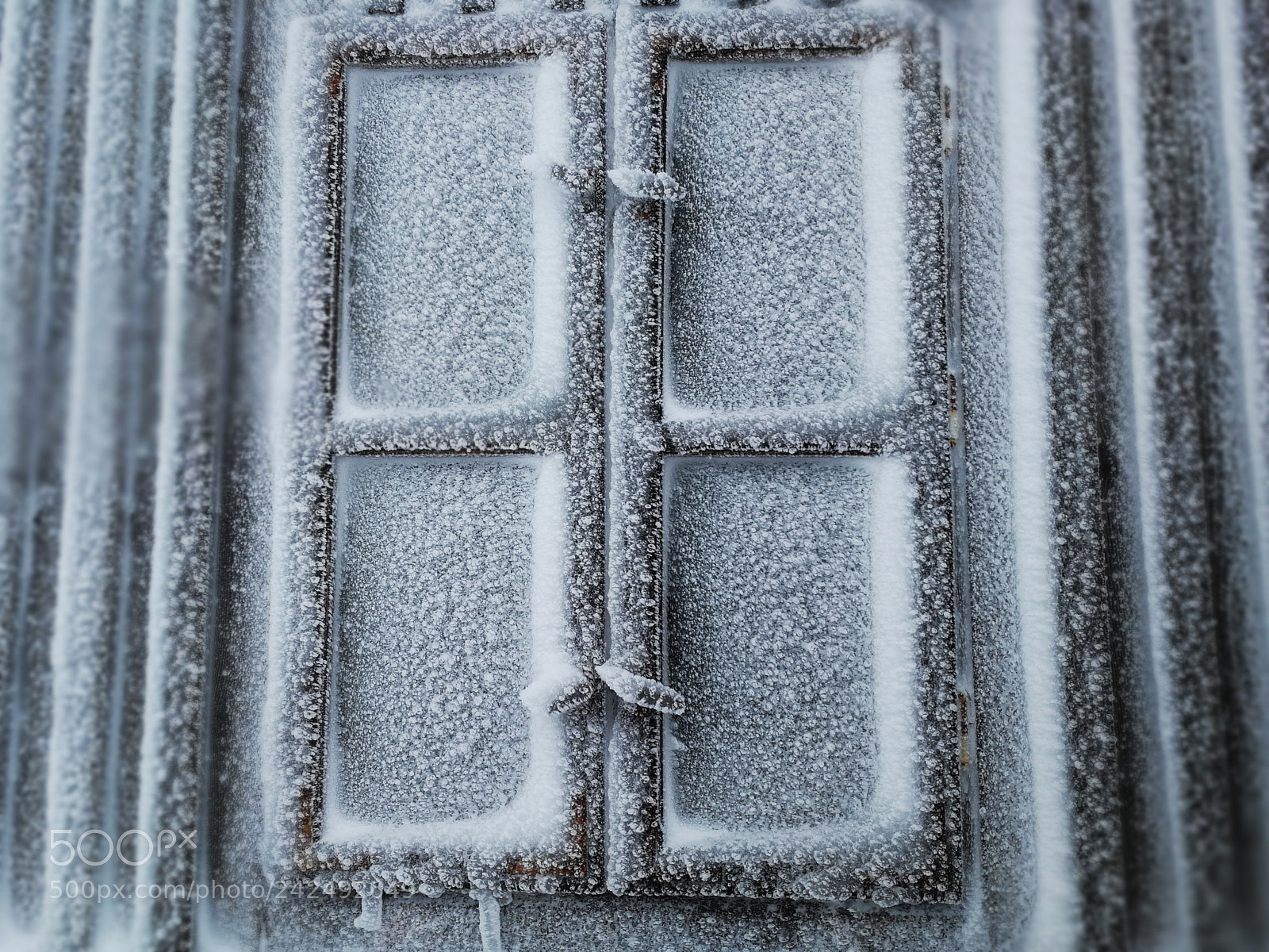 HUAWEI P10 sample photo. Frozen photography
