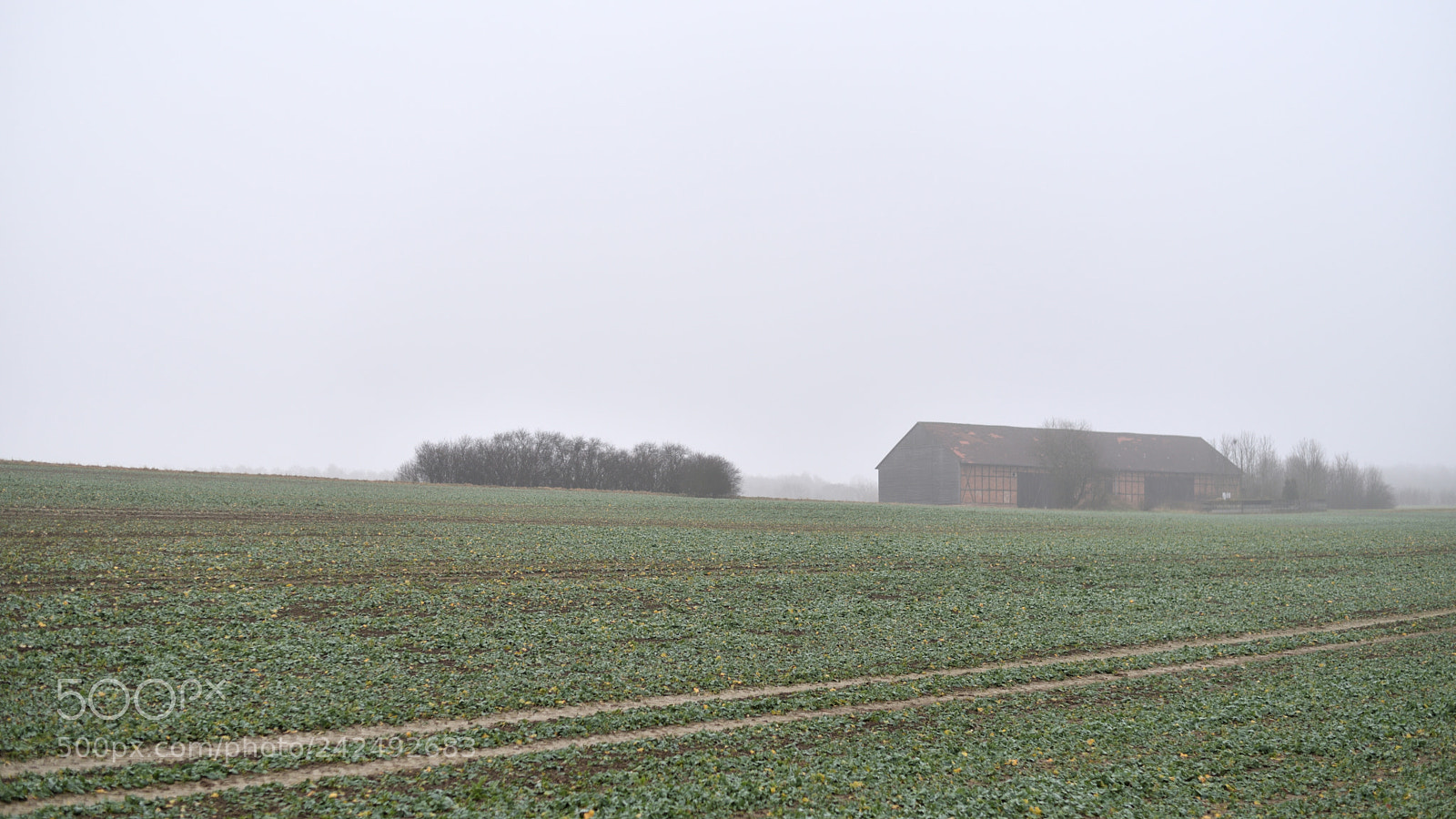 Nikon D750 + Nikon AF-S Nikkor 50mm F1.8G sample photo. Winter field and barn photography