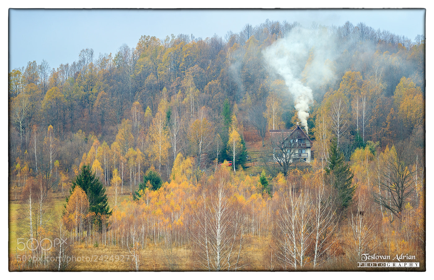 Canon EOS 7D Mark II sample photo. November... photography