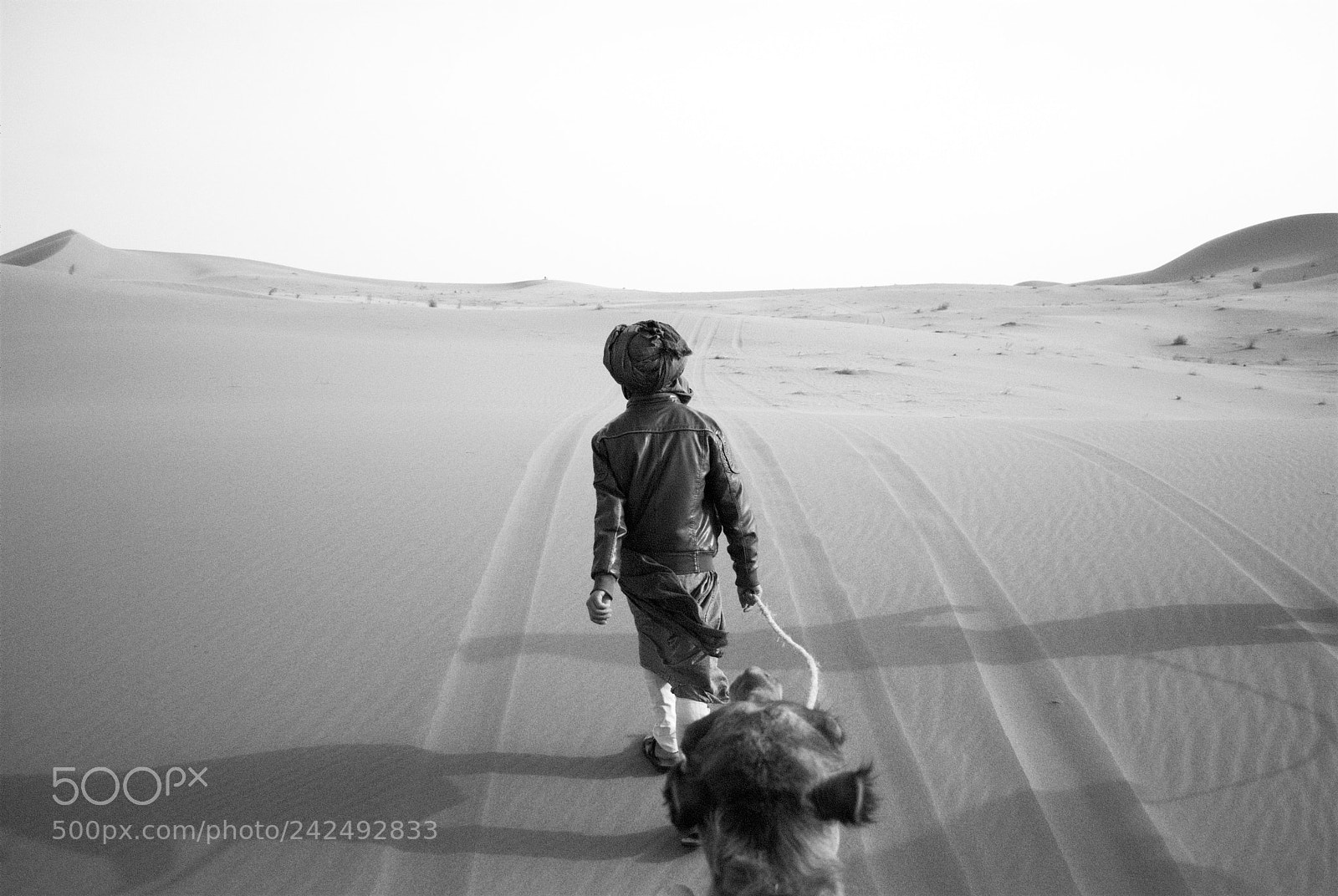 Nikon D80 sample photo. The desert photography