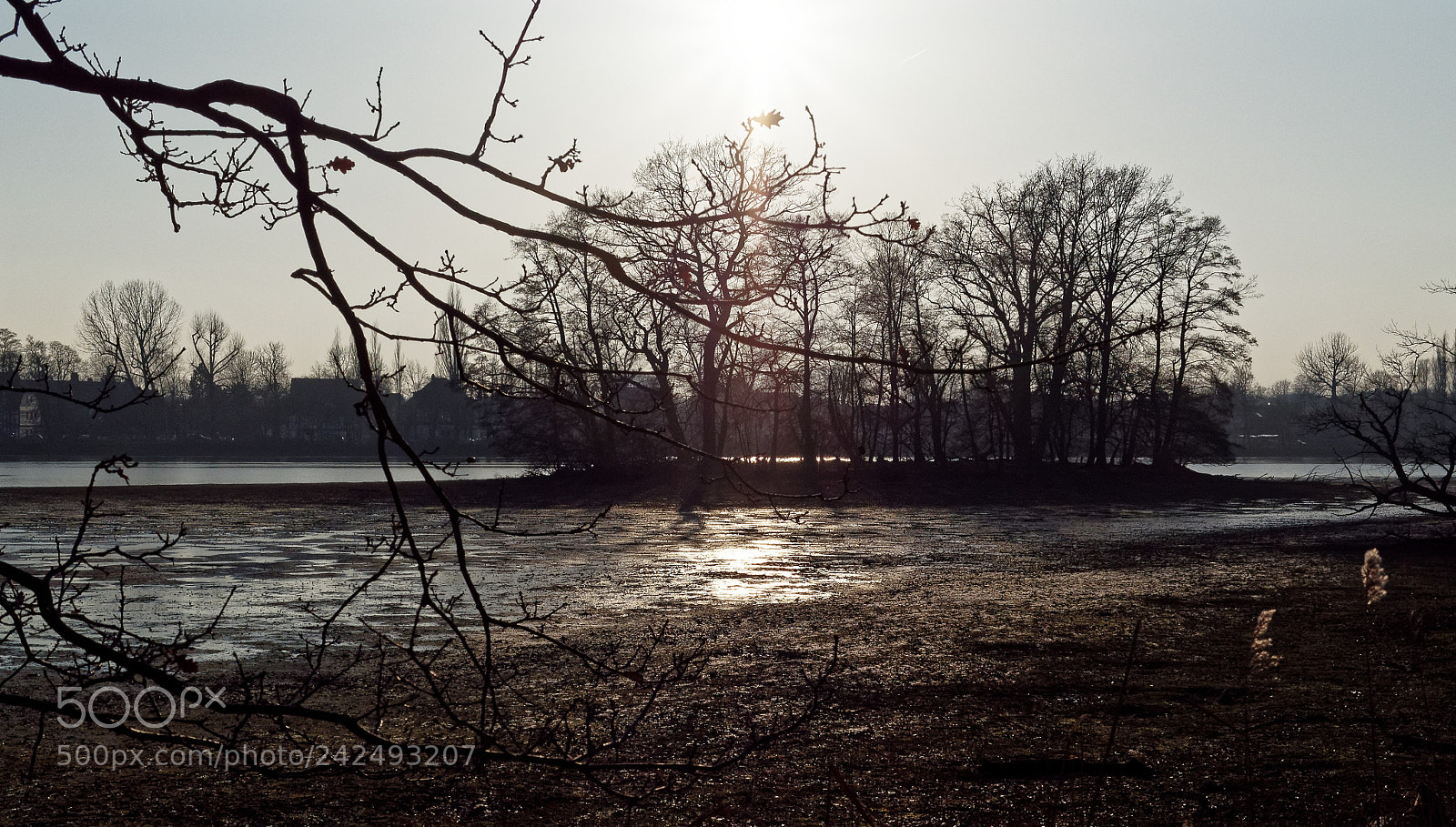 Olympus OM-D E-M5 sample photo. Riddagshausen, natur pur photography