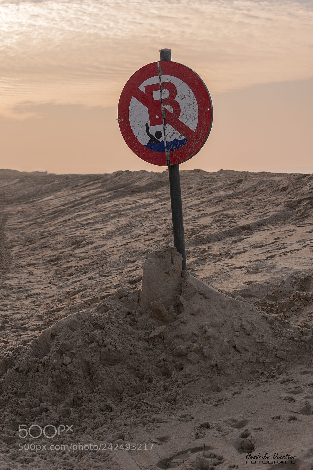 Nikon D3 sample photo. No swimming. photography