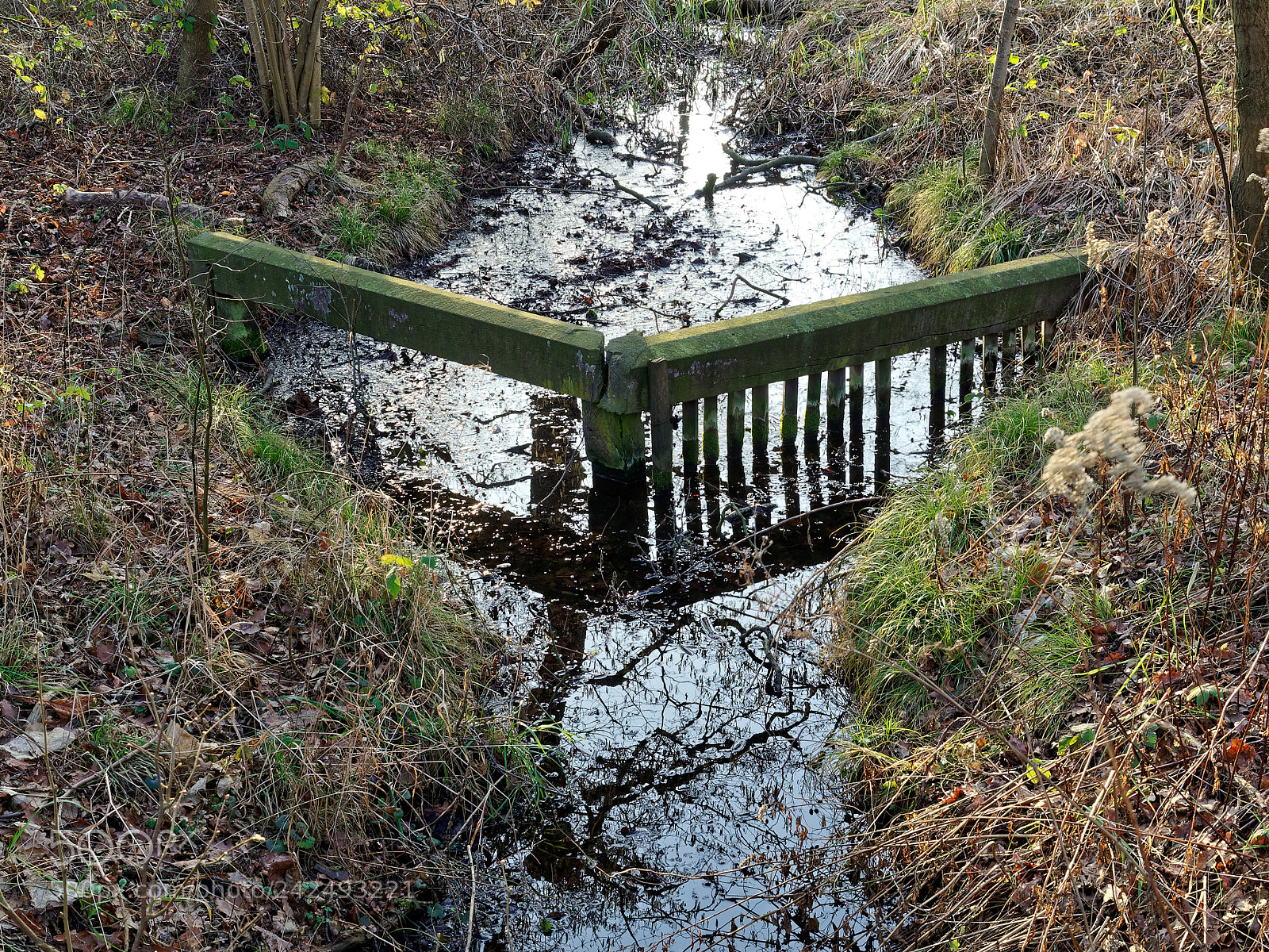 Olympus OM-D E-M5 sample photo. Riddagshausen, natur pur photography