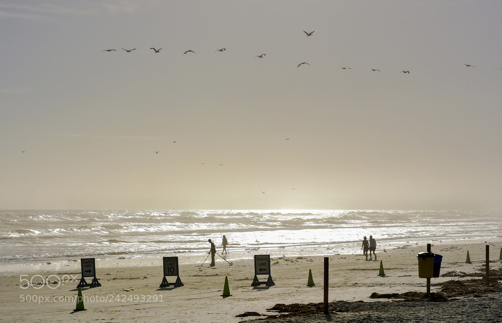 Nikon D810 sample photo. Untitled photography