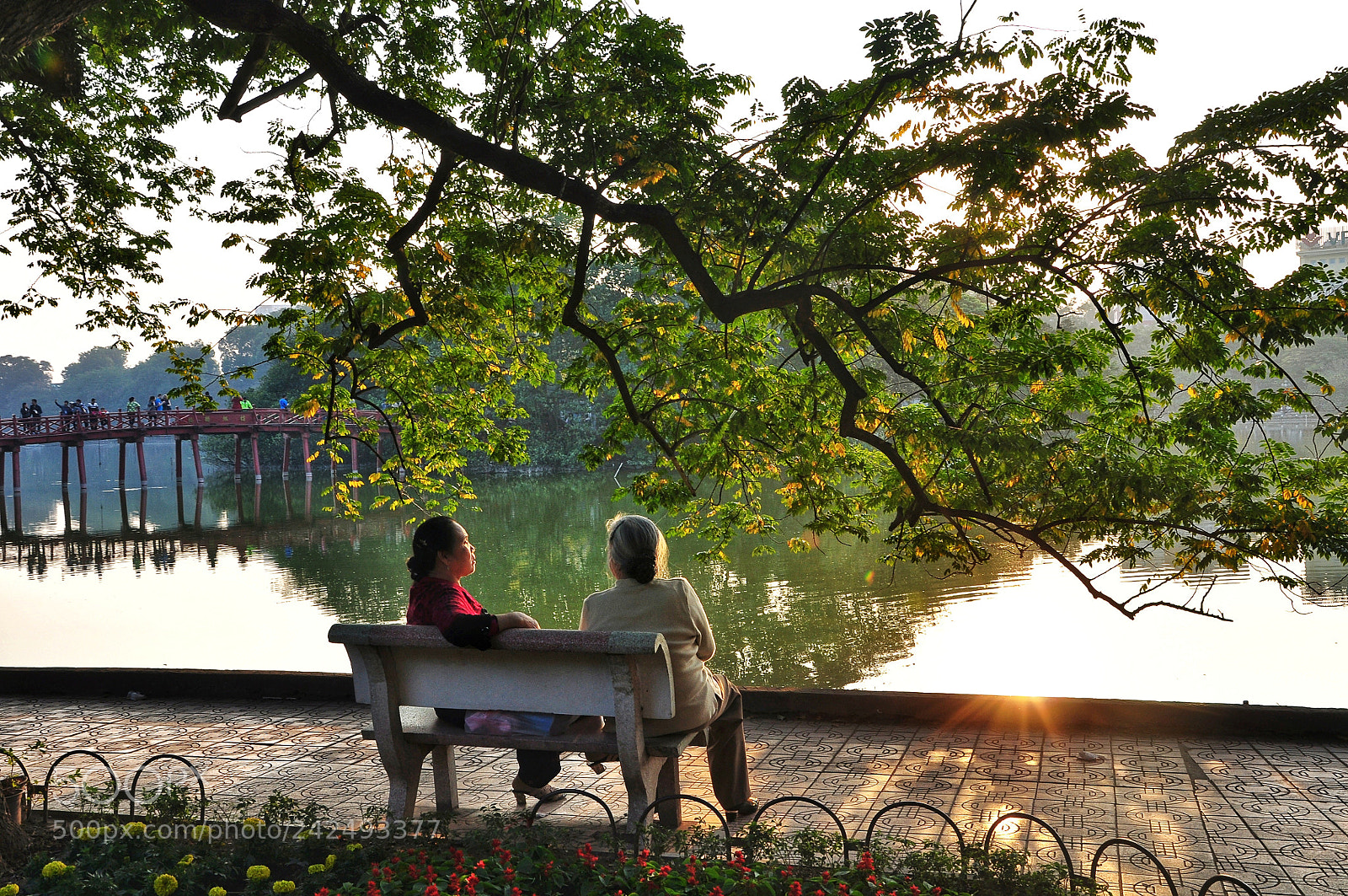 Nikon D90 sample photo. Untitled photography
