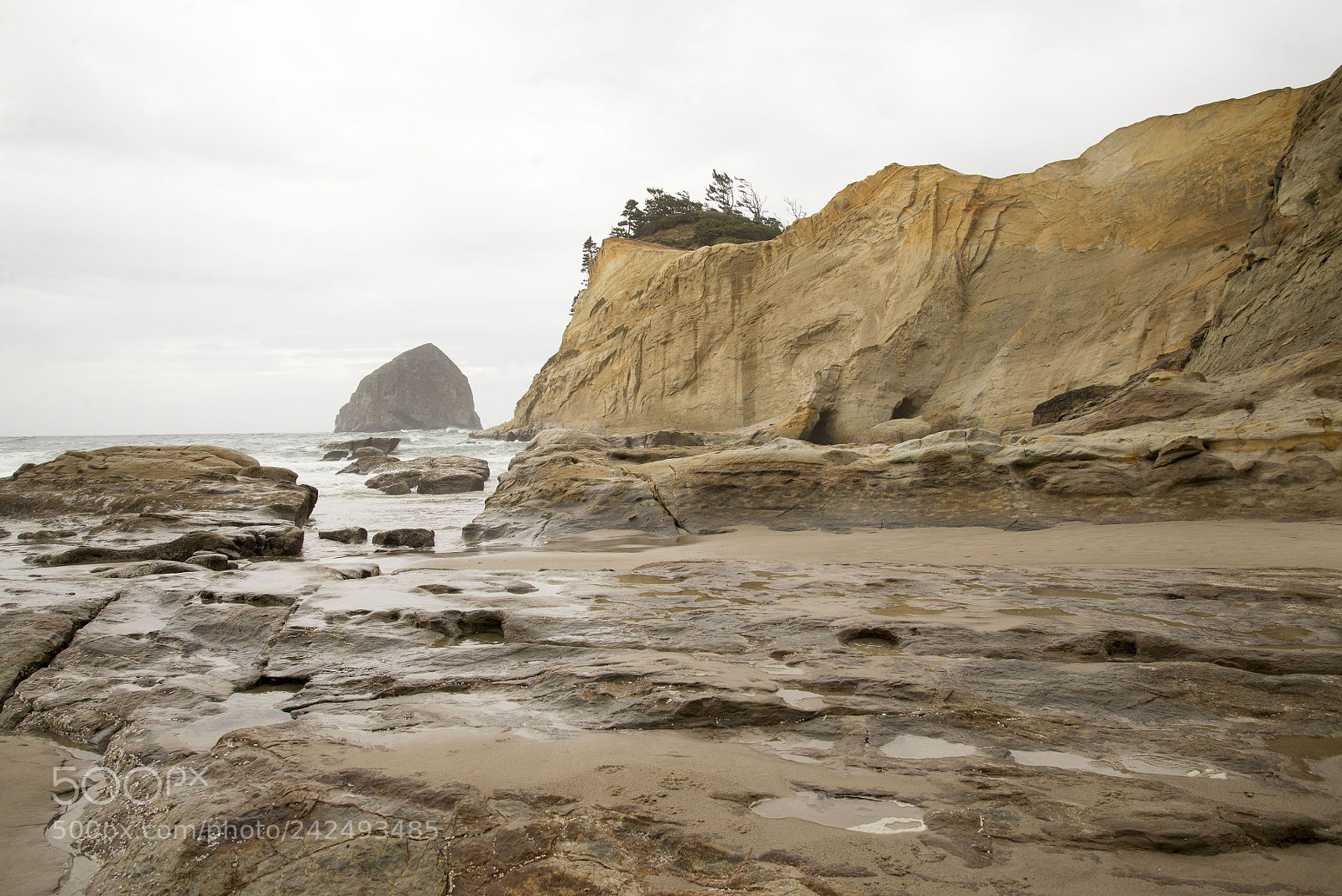 Nikon D600 sample photo. Cape kiwanda, or photography