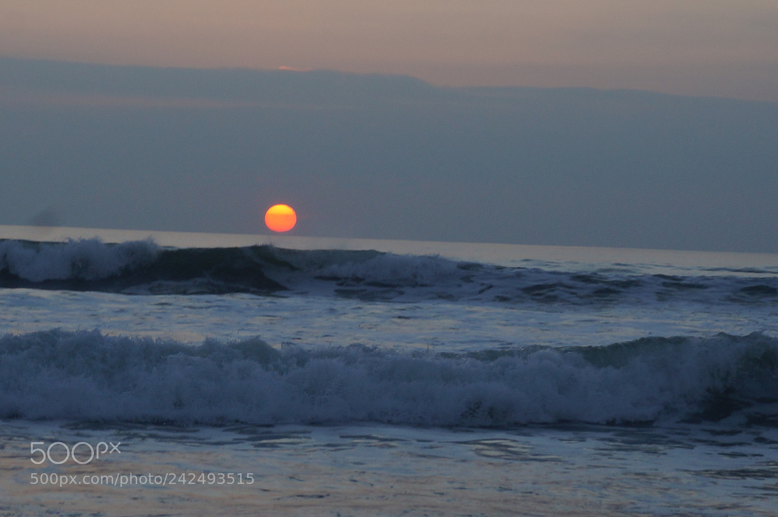 Sony Alpha NEX-3N sample photo. Janvier le soleil se photography