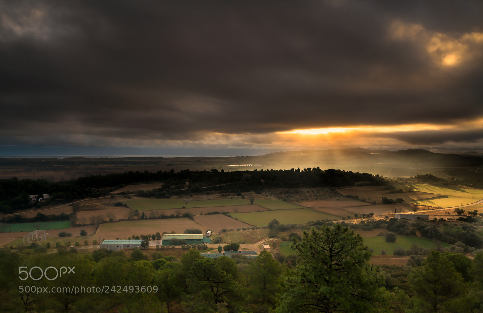 Sony ILCA-77M2 sample photo. Raig de llum photography