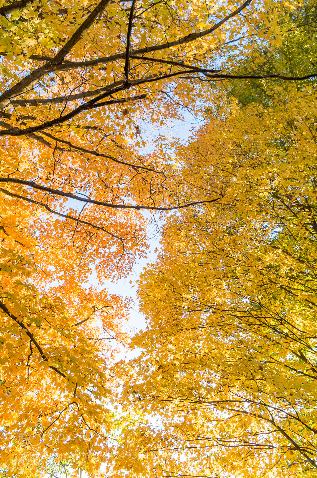 Pentax K-50 sample photo. Fall vibrance photography