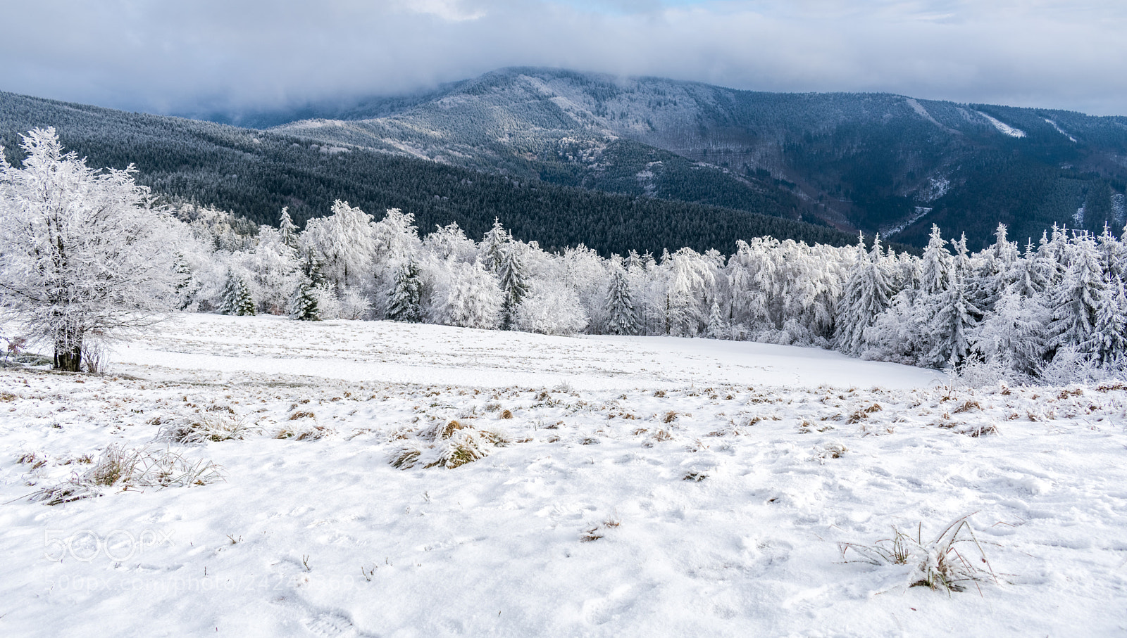 Nikon D3400 sample photo. Winter mountains photography