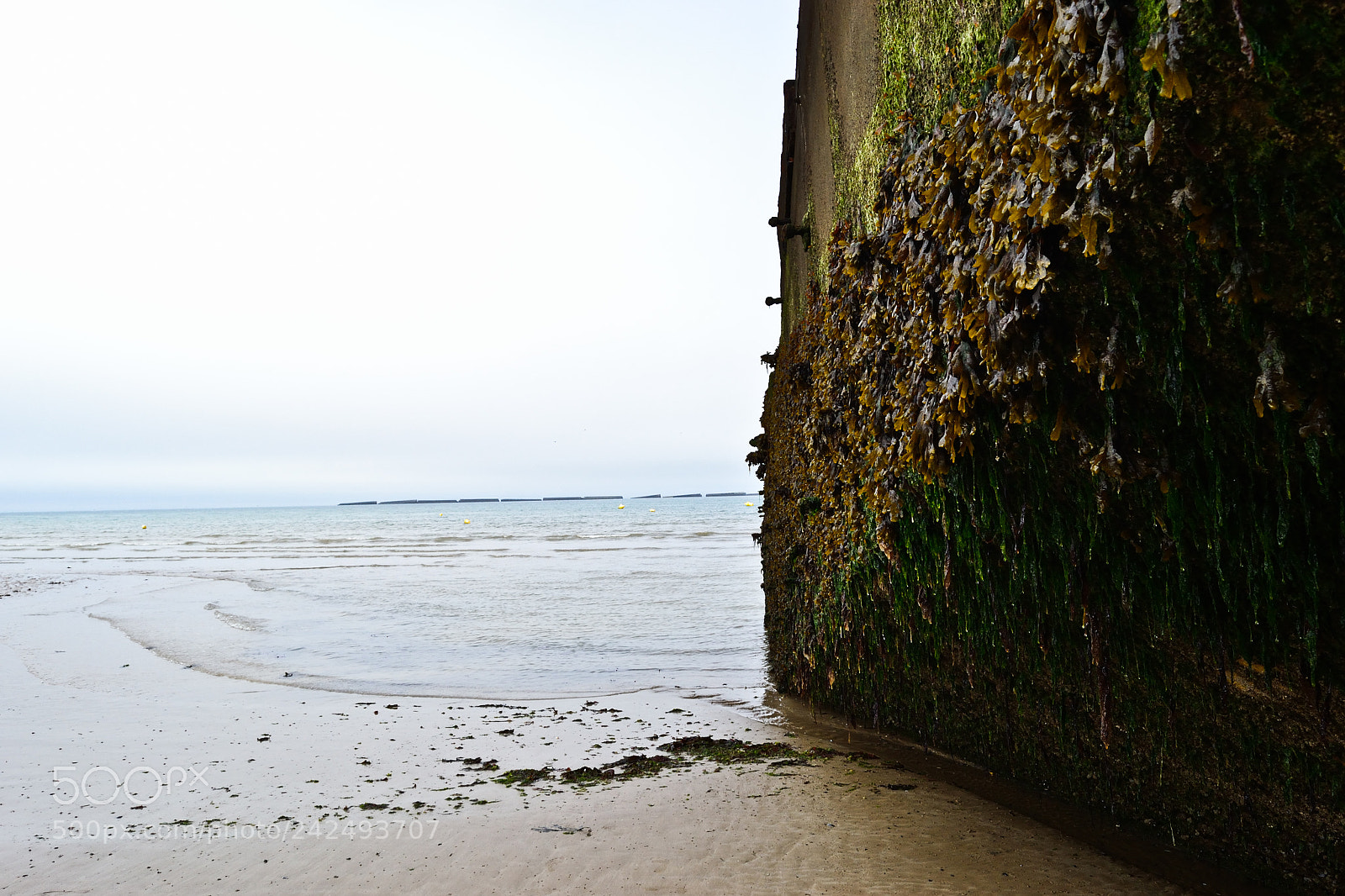 Nikon D3100 sample photo. Toiling through time's toll photography