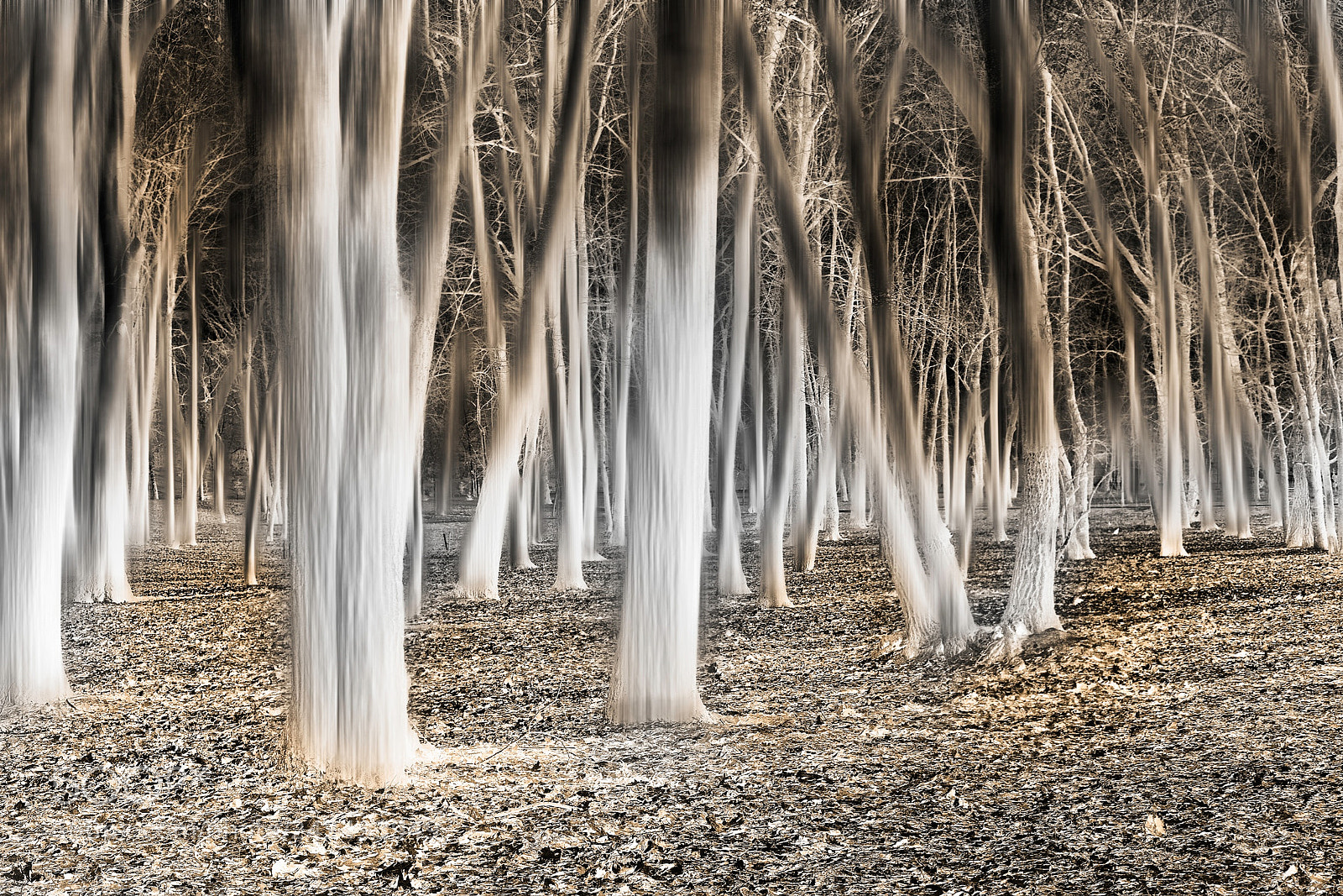 Nikon D810 sample photo. Reality is merely an photography