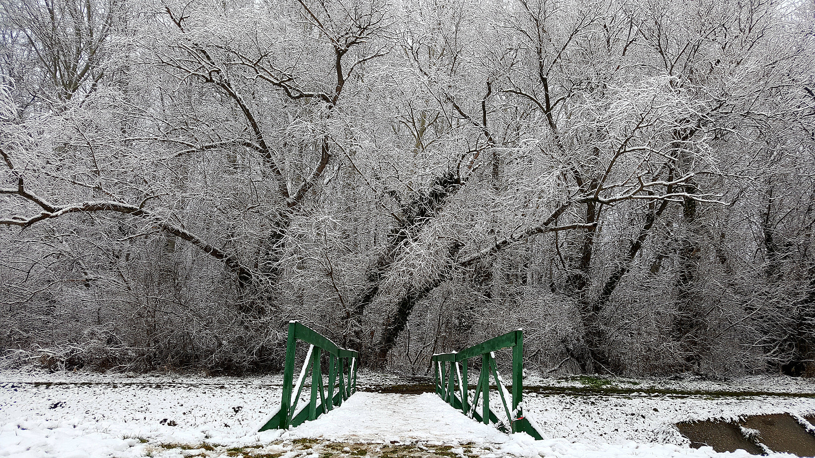 Samsung GALAXY S6 edge sample photo. Winter wonderland along the photography