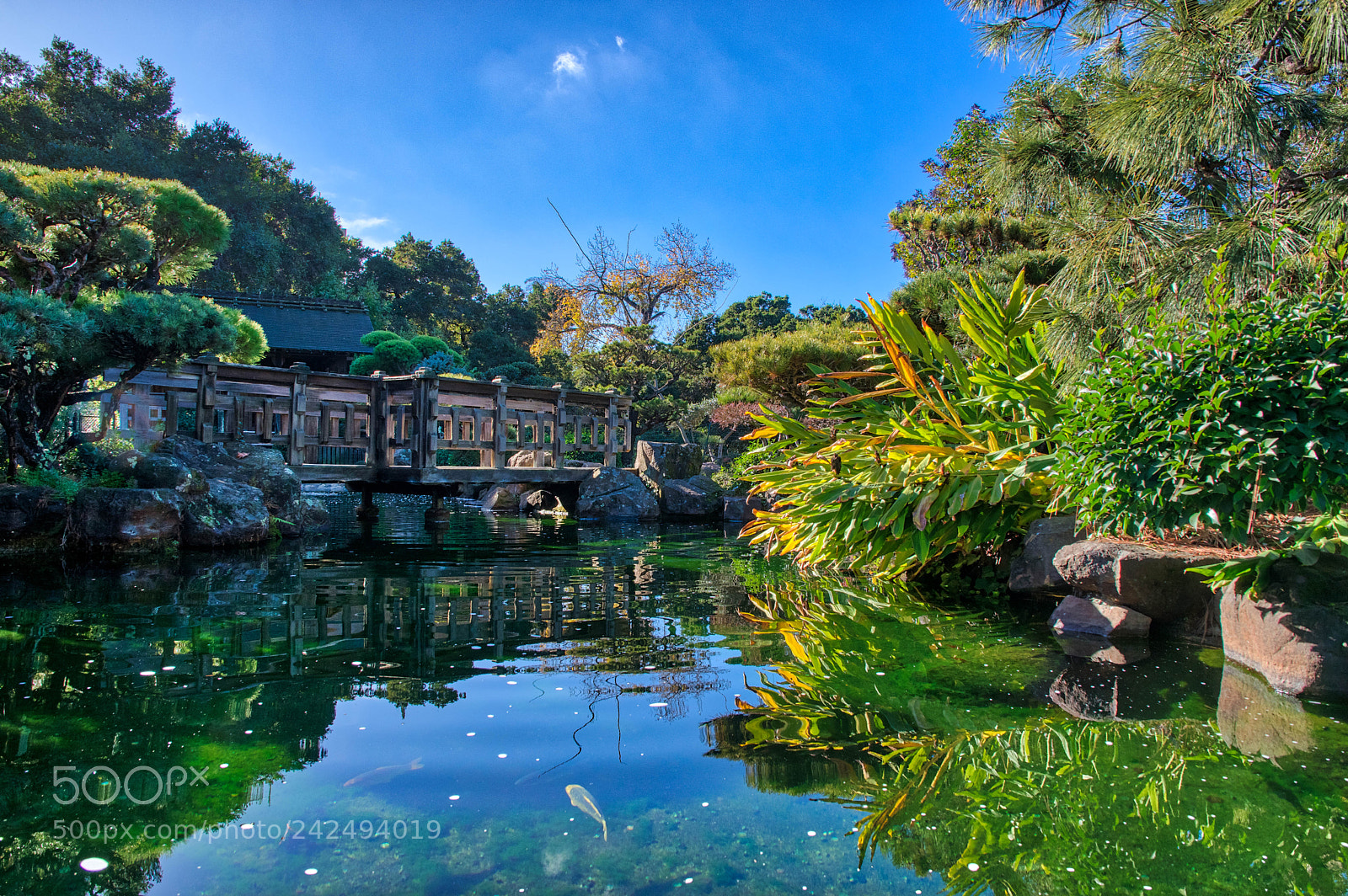 Pentax K-3 sample photo. Eden photography