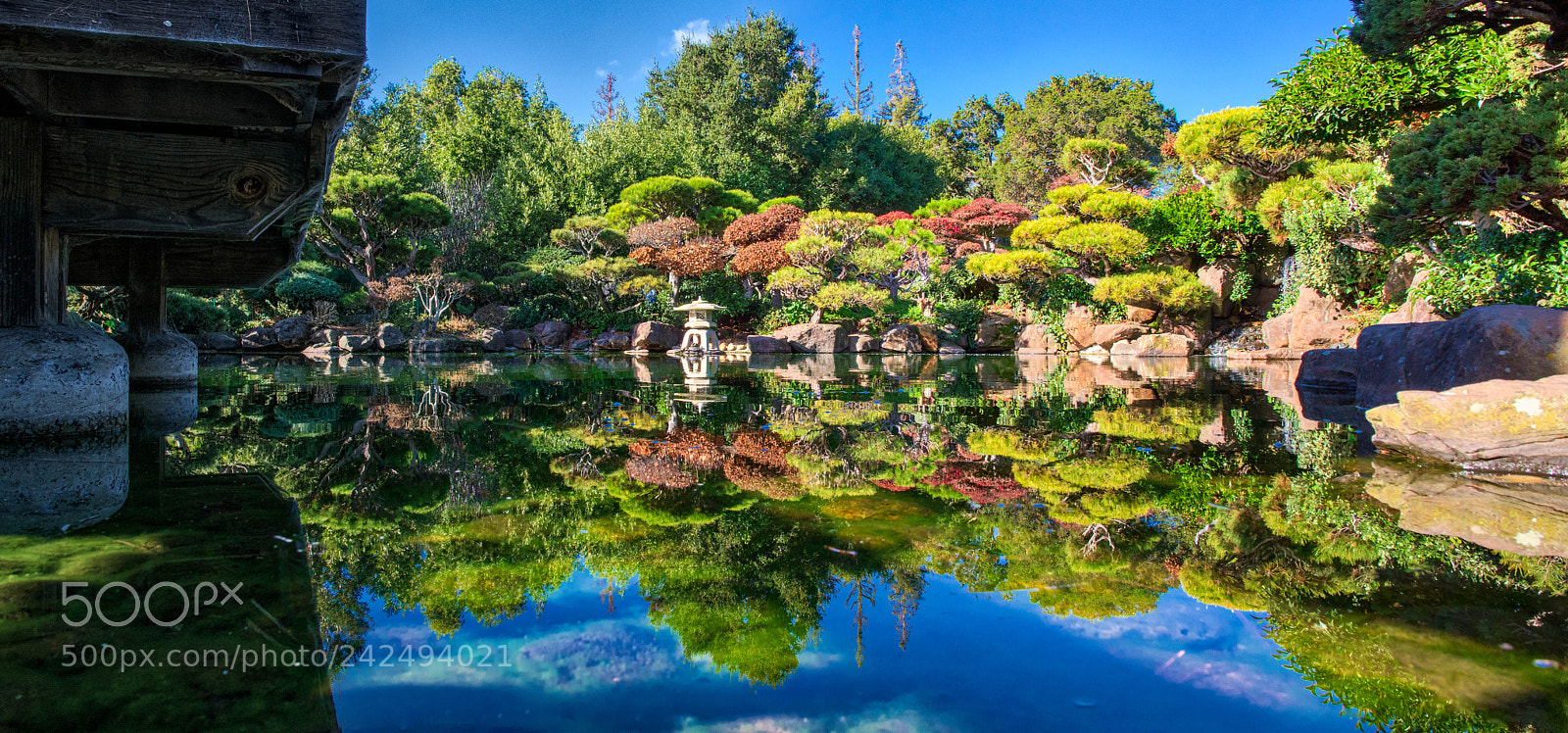 Pentax K-3 sample photo. Garden photography