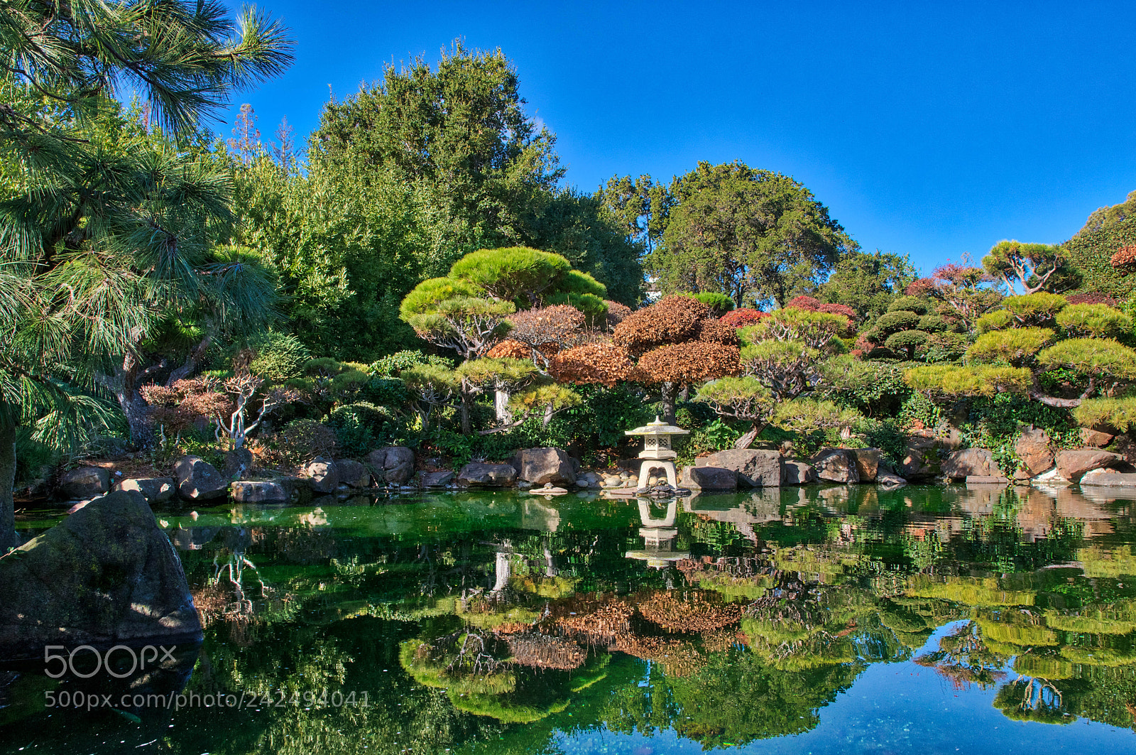 Pentax K-3 sample photo. Garden of eden photography