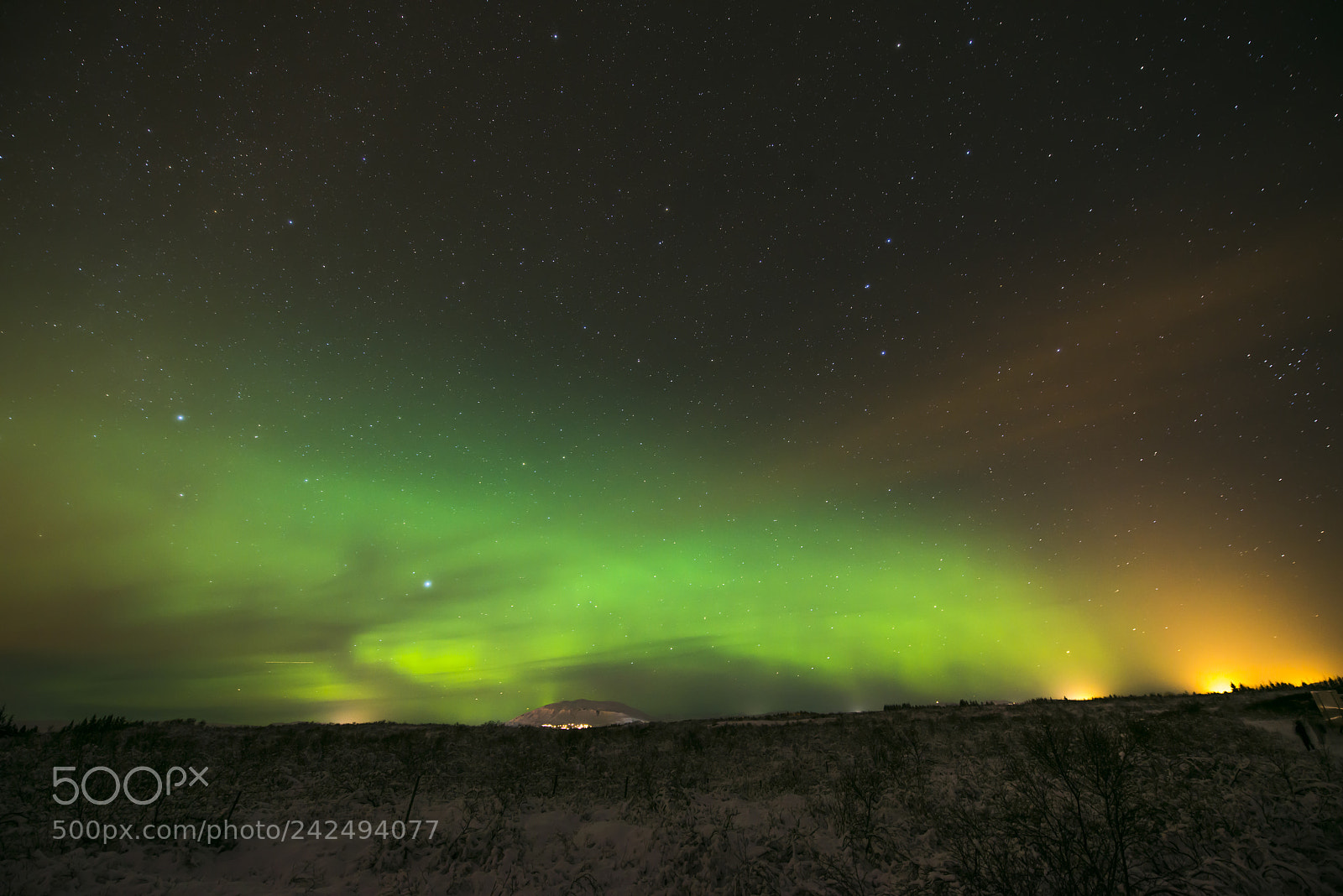 Nikon D800E sample photo. Norther light with city photography