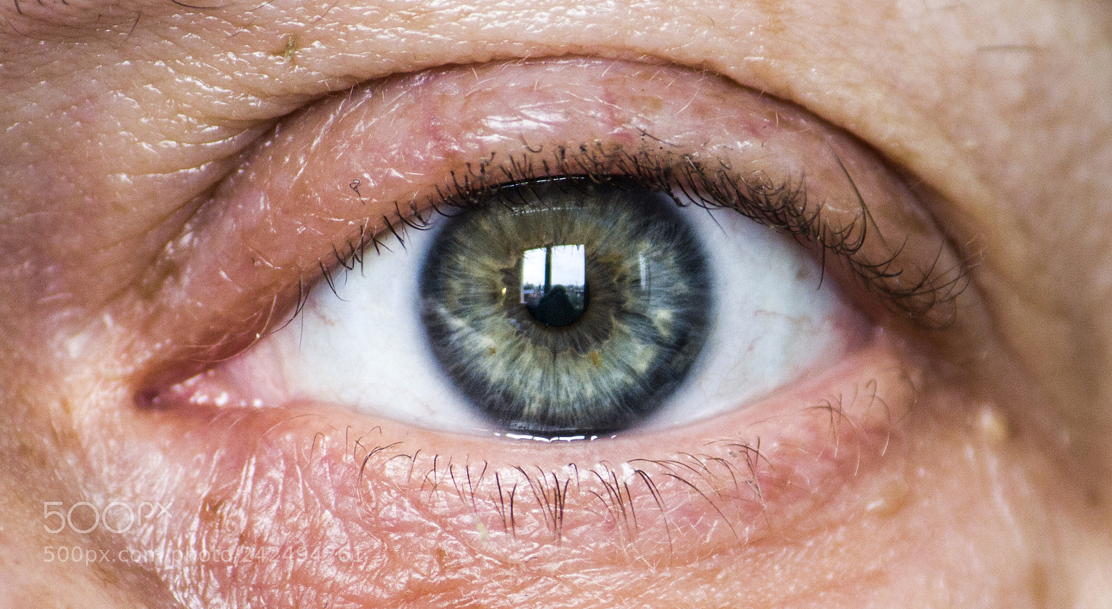 Canon EOS 1200D (EOS Rebel T5 / EOS Kiss X70 / EOS Hi) sample photo. Eye (challange january fourteen) photography