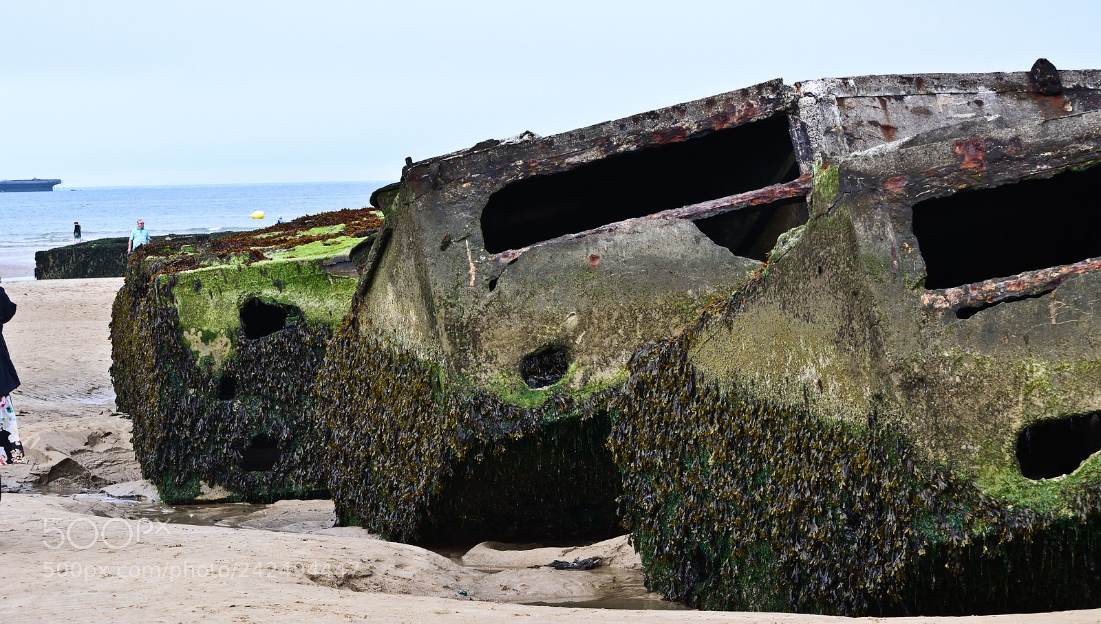 Nikon D3100 sample photo. It hasn't been long photography