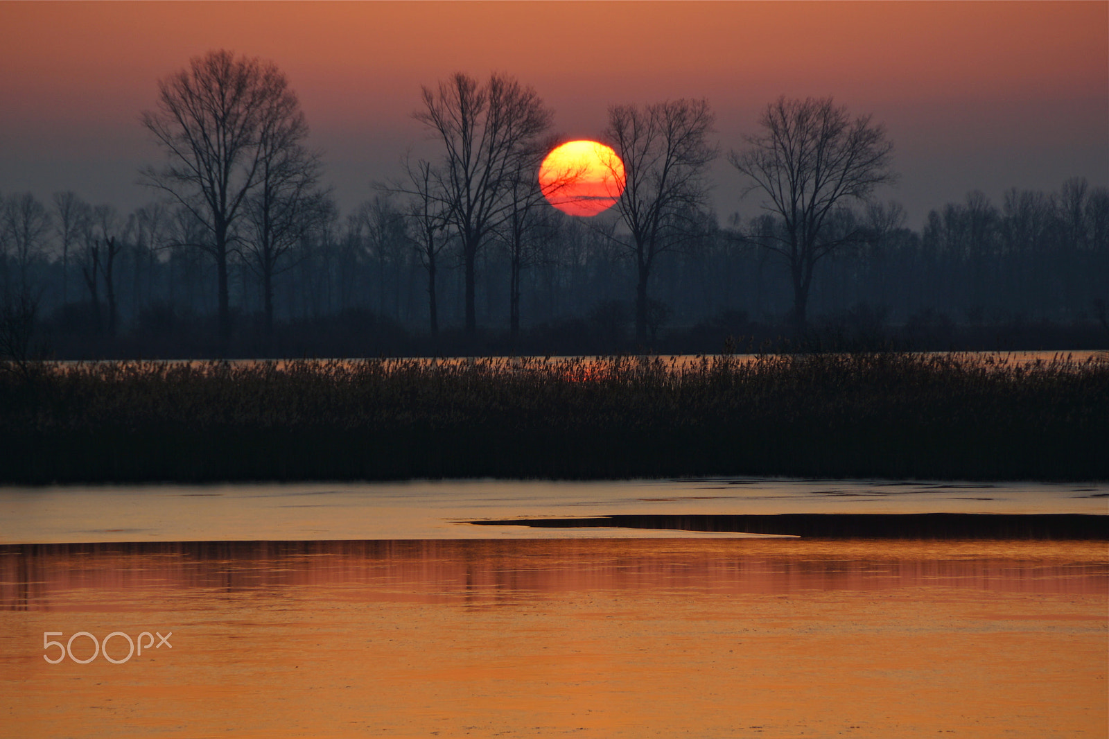 Sony DT 18-200mm F3.5-6.3 sample photo. Linum, today in the morning photography