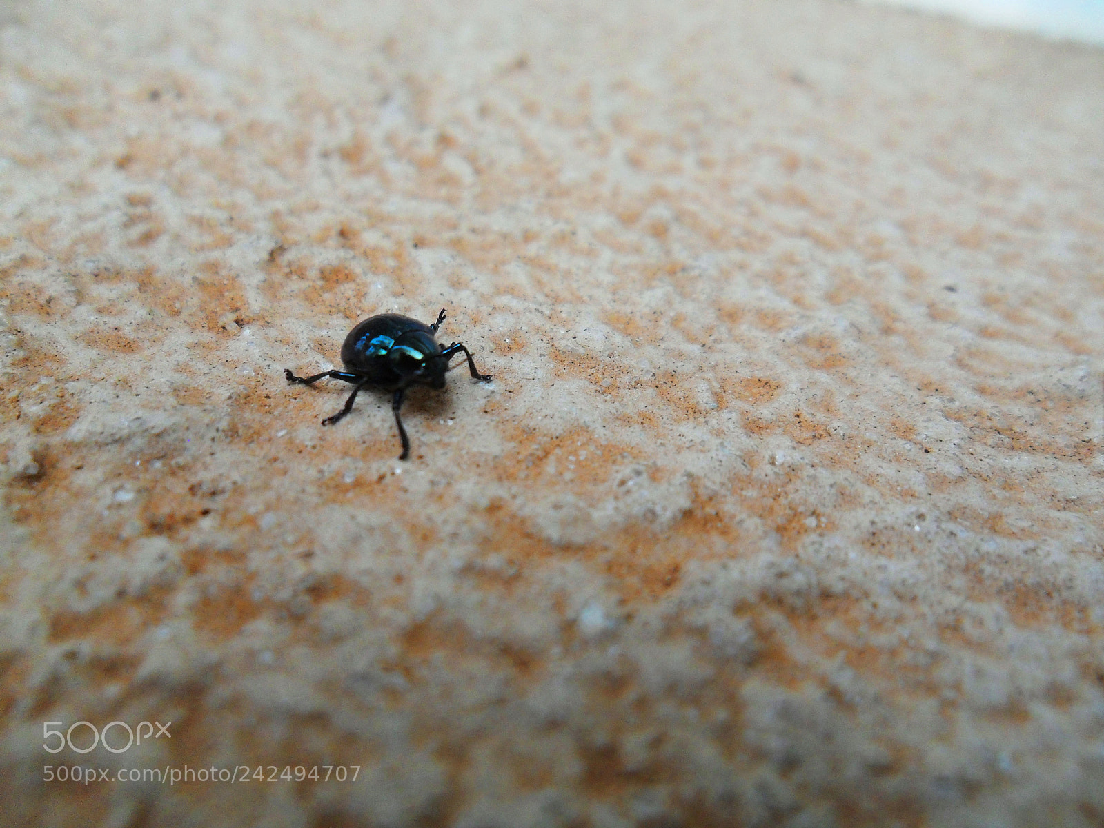 Samsung ES65, ES67 / VLUU ES65, ES67 /  SL50 sample photo. Pequeno deserto photography