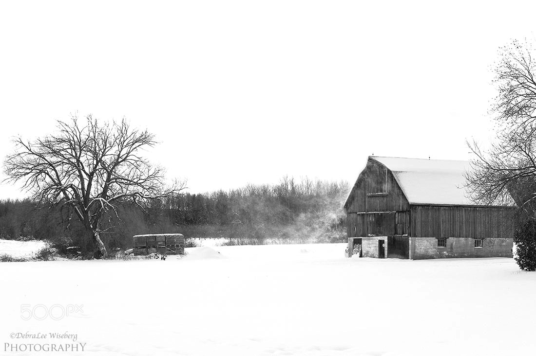 Nikon D700 sample photo. Blowing snow photography