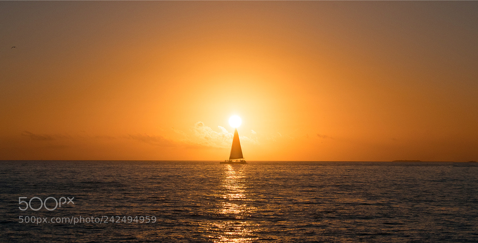 Nikon D500 sample photo. Sunset photography