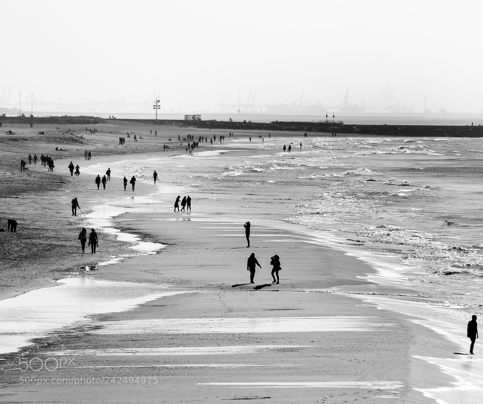 Nikon D60 sample photo. Scheveningen beach.. photography