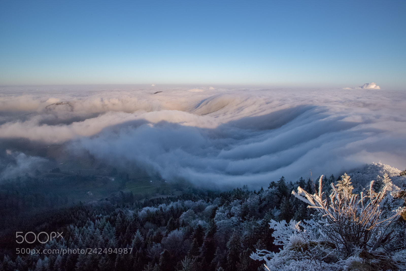 Canon EOS 6D Mark II sample photo. Flowing fog photography