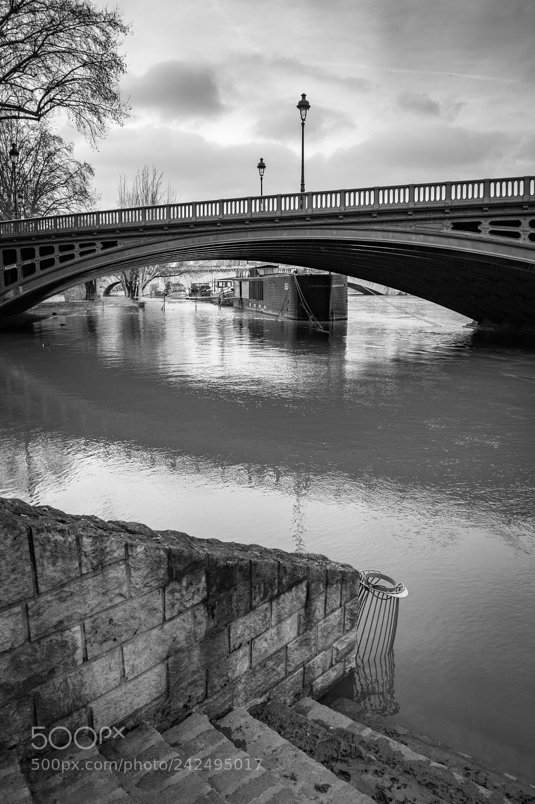 Nikon D5500 sample photo. Paris flooded photography