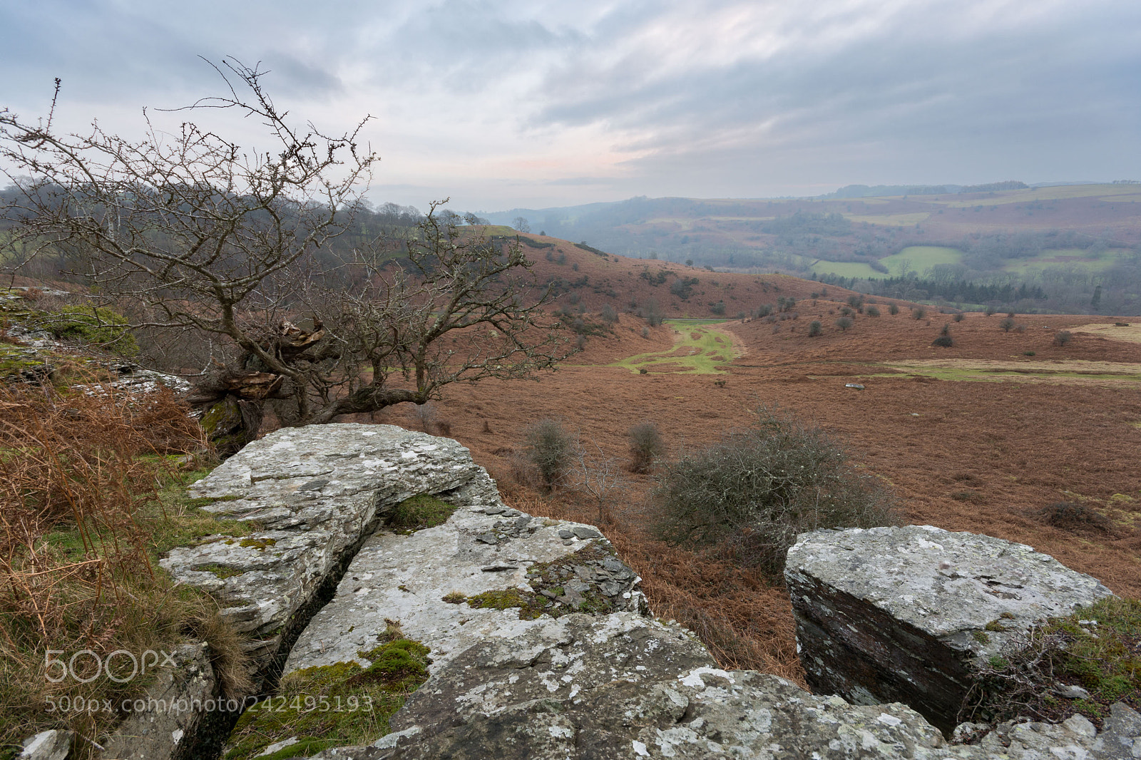 Nikon D7200 sample photo. View point photography