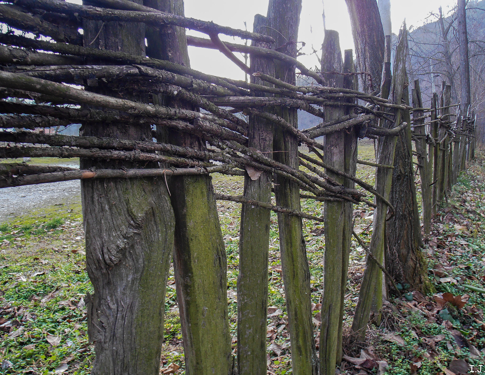 Olympus VR310,D720 sample photo. Fence photography