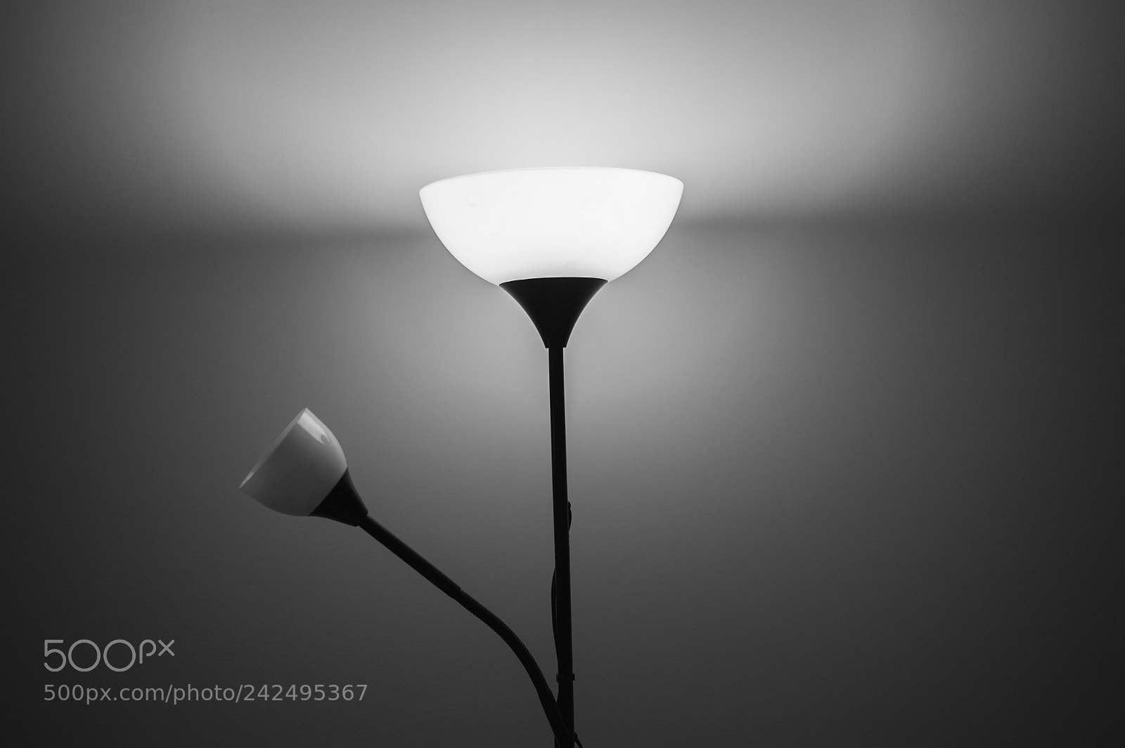 Nikon D700 sample photo. 14/365 photography
