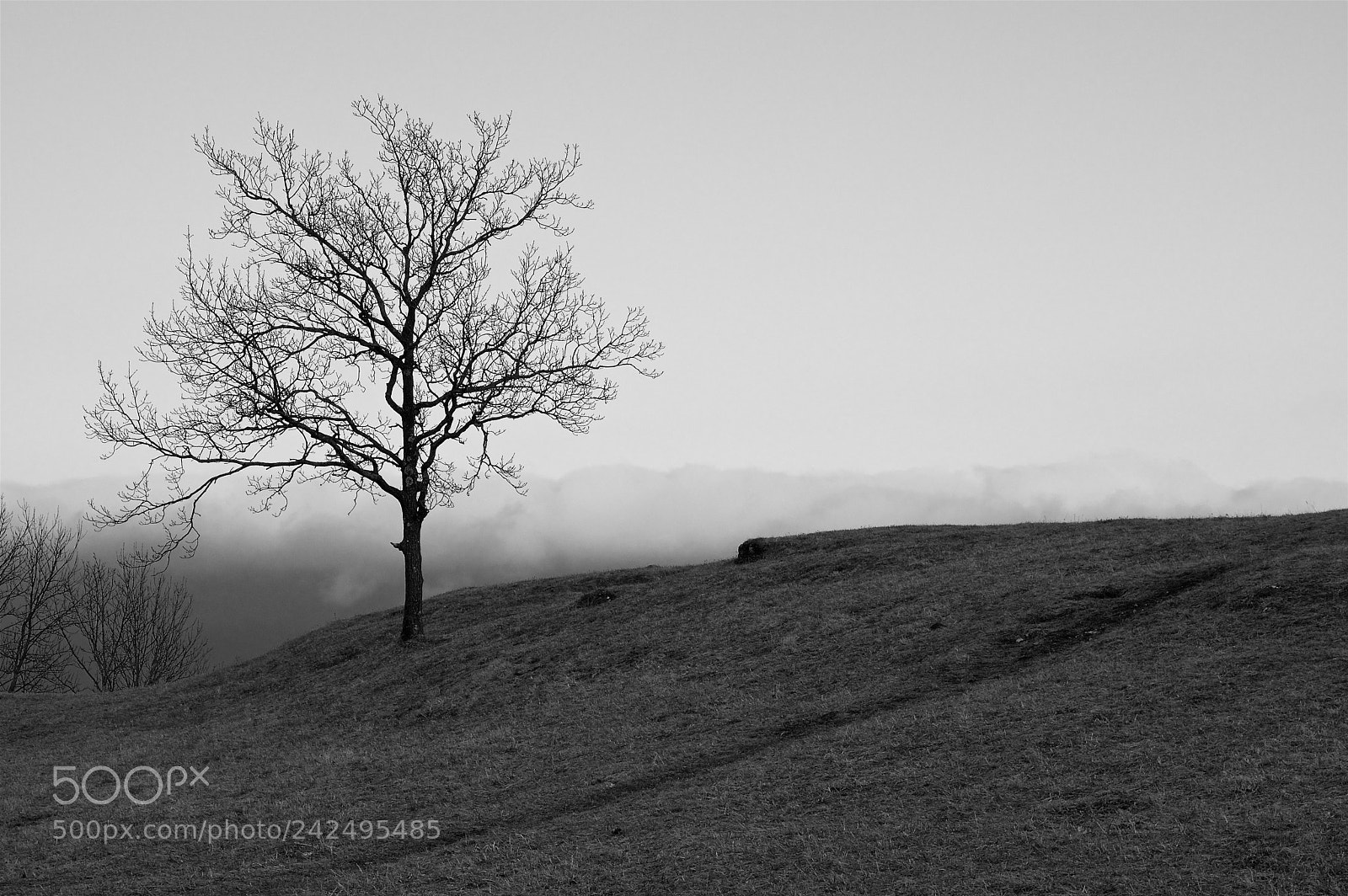 Pentax K-3 II sample photo. Keep it simple photography