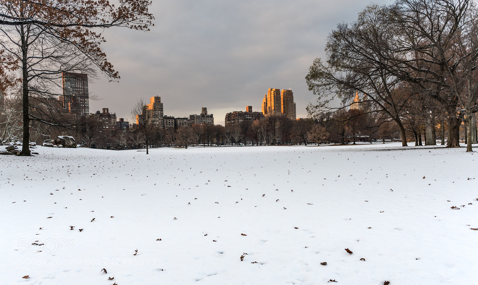 Nikon D850 sample photo. Snowy meadow photography