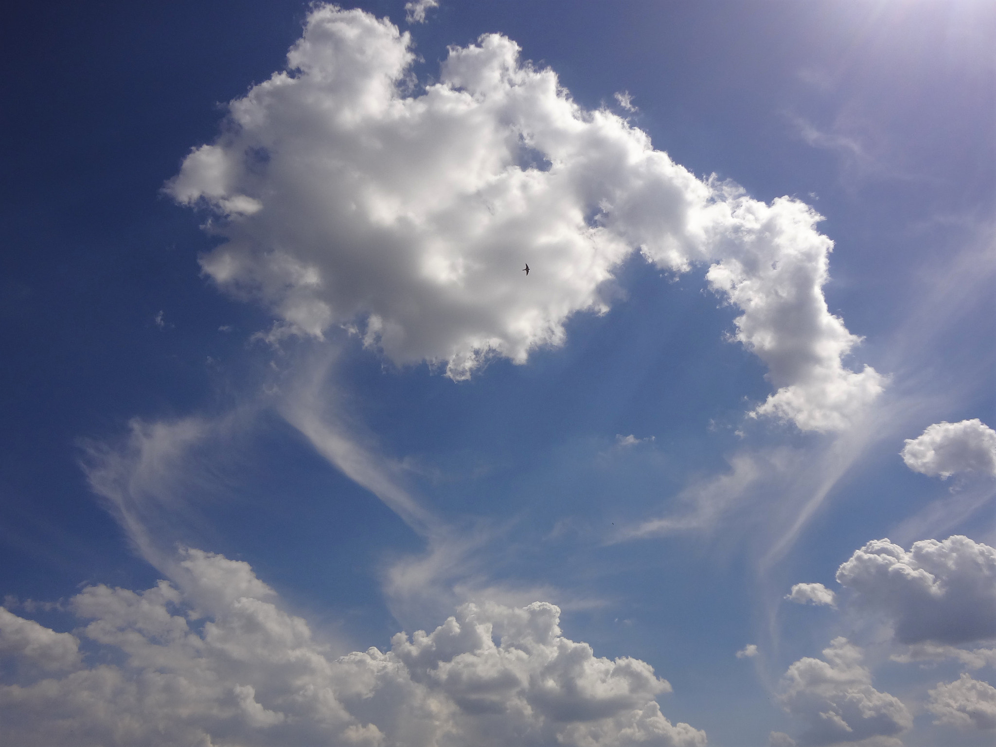 Sony DSC-WX7 sample photo. Alone in the sky photography