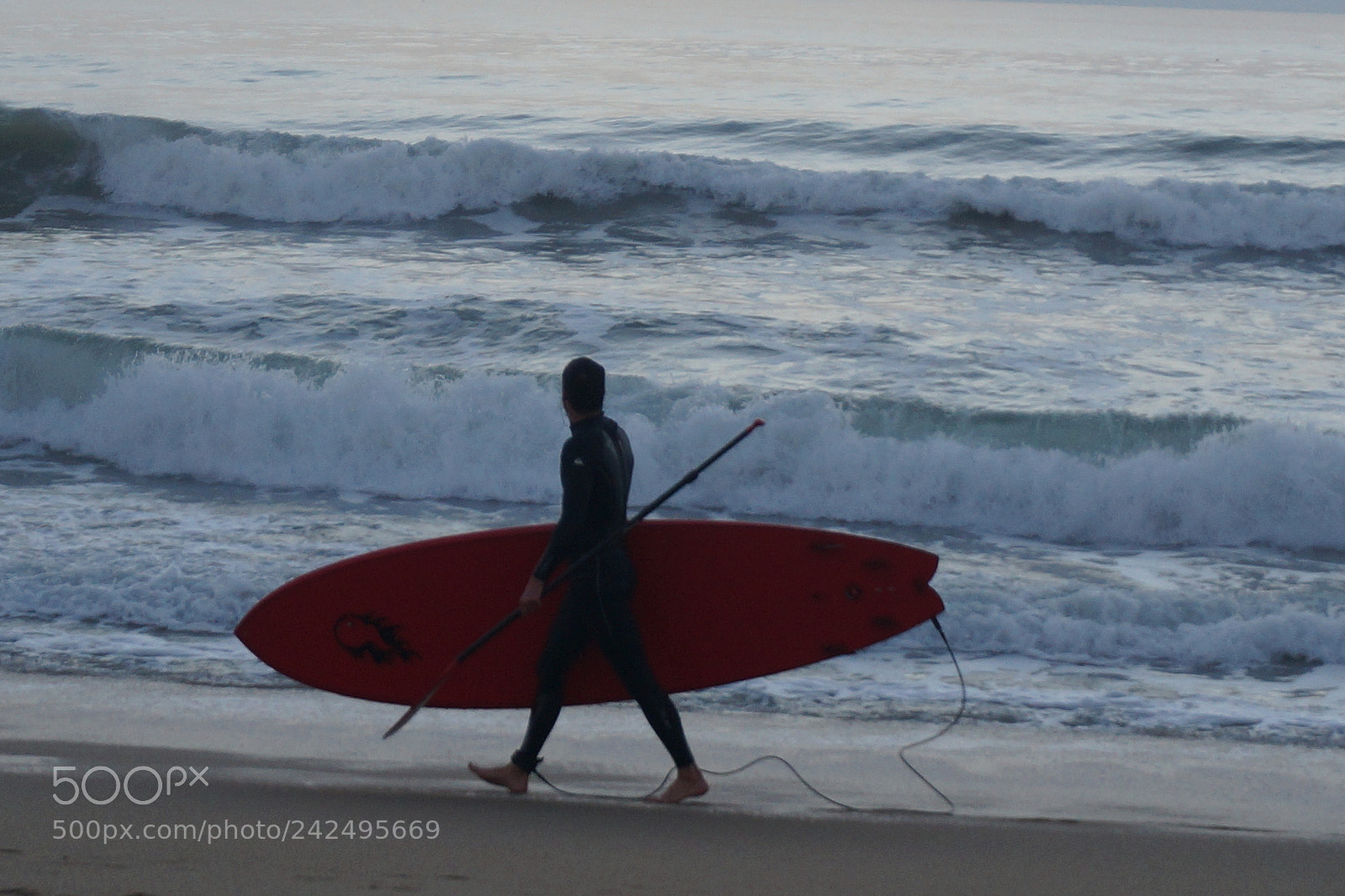 Sony Alpha NEX-3N sample photo. Le surfer face son photography