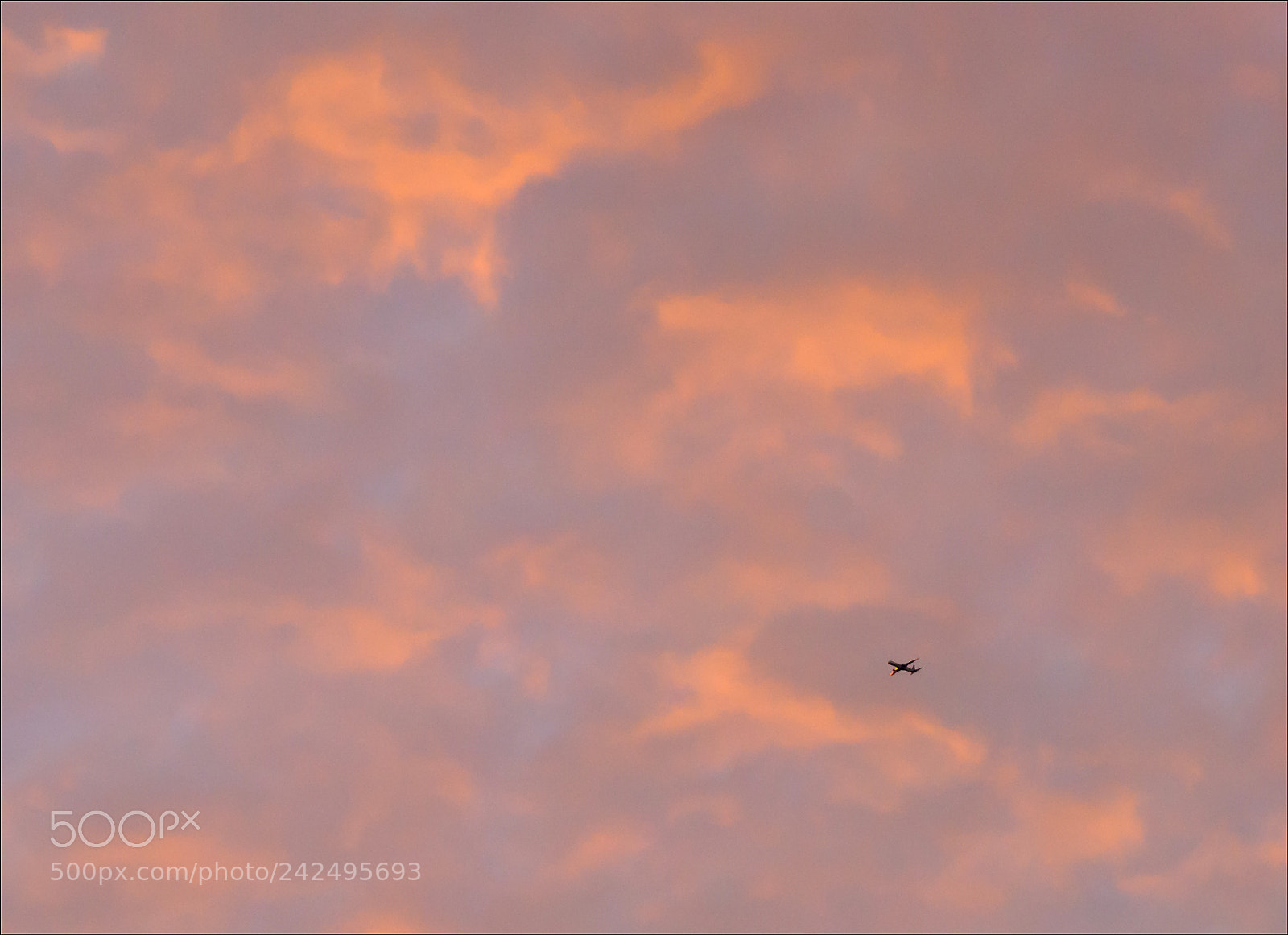 Nikon D300S sample photo. A plane in the photography