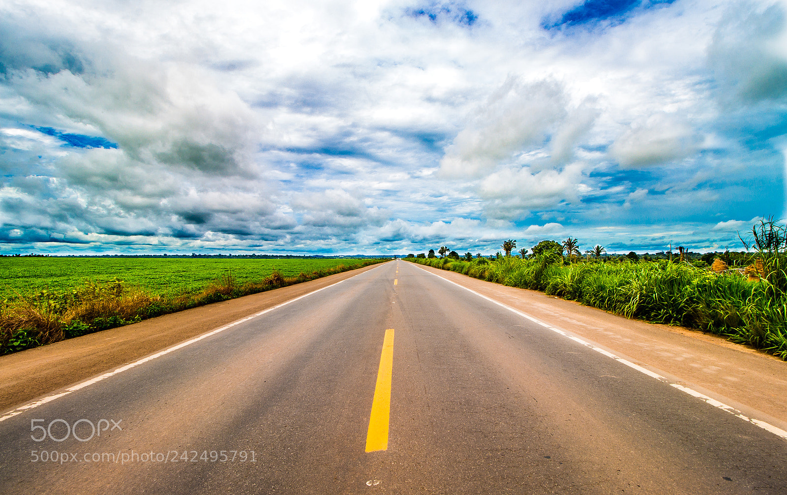 Canon EOS 700D (EOS Rebel T5i / EOS Kiss X7i) sample photo. On the road... photography
