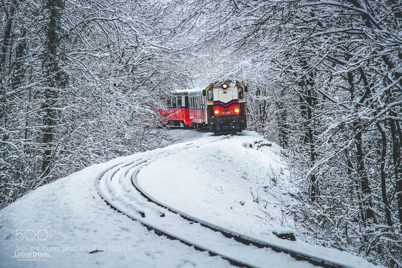 Nikon D610 sample photo. Childrens railway in budapest photography