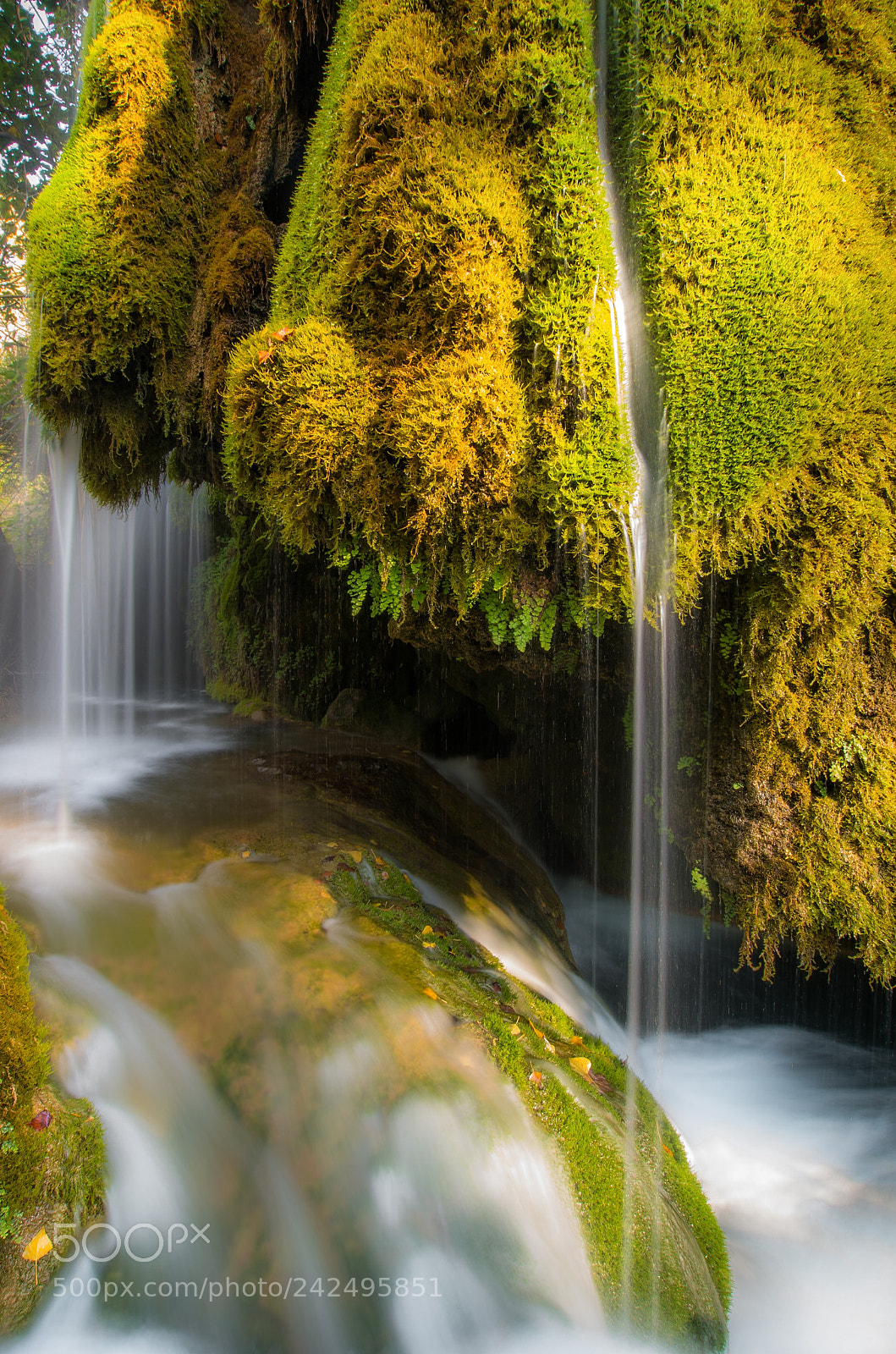 Pentax K-50 sample photo. Green, water and moss photography