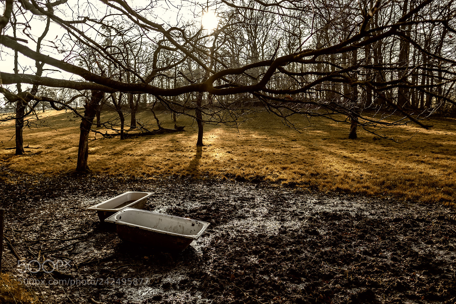 Fujifilm X-Pro1 sample photo. Beautyfarm photography